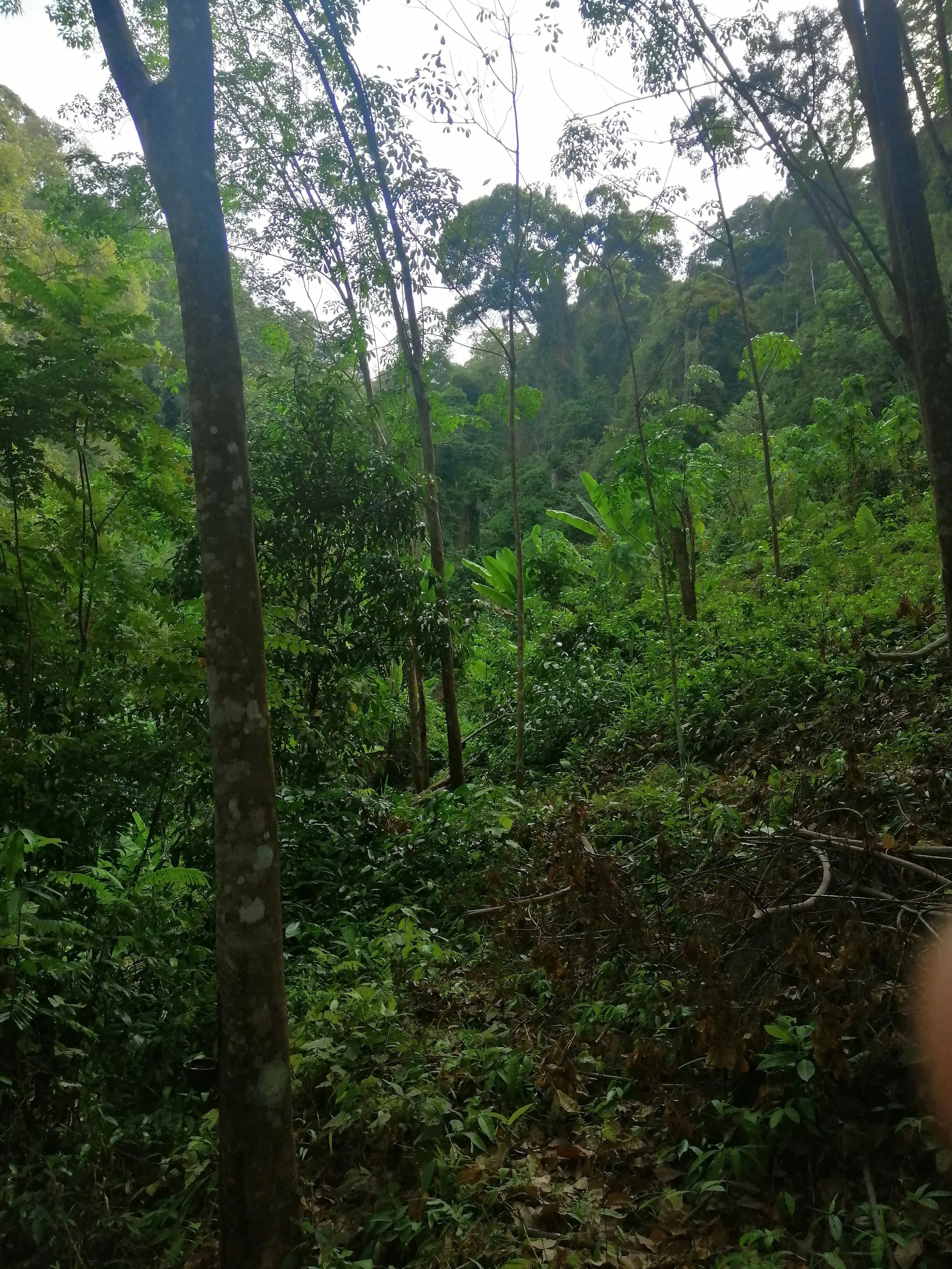 2018 Koh Lanta Misc  (102).jpg