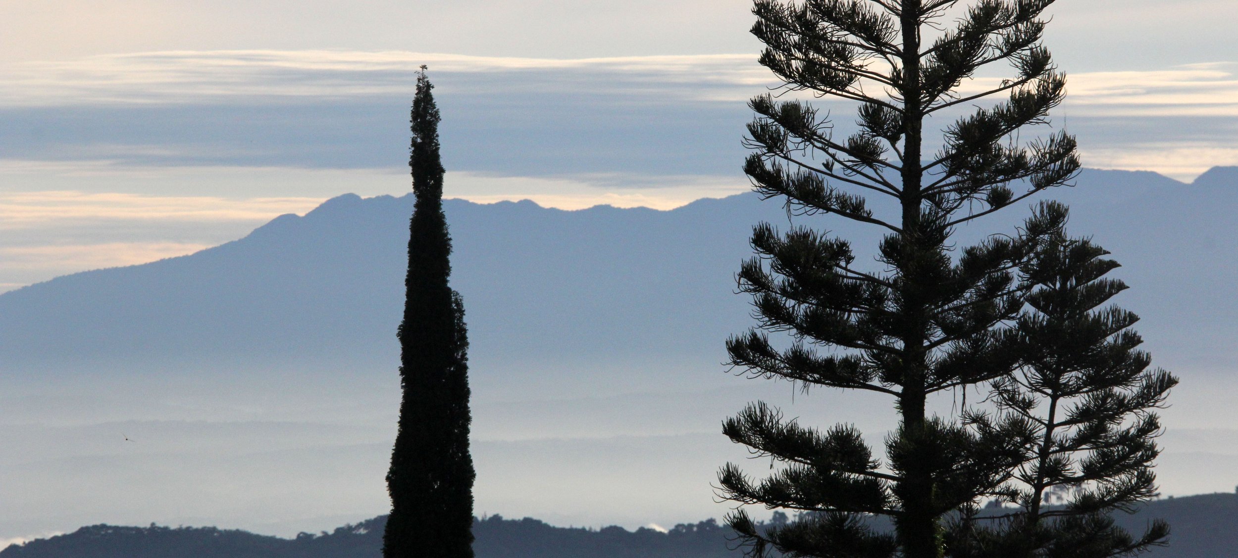 BOGOR - GEDE NATIONAL PARK - JAVA BARA, INDONESIA (9).JPG