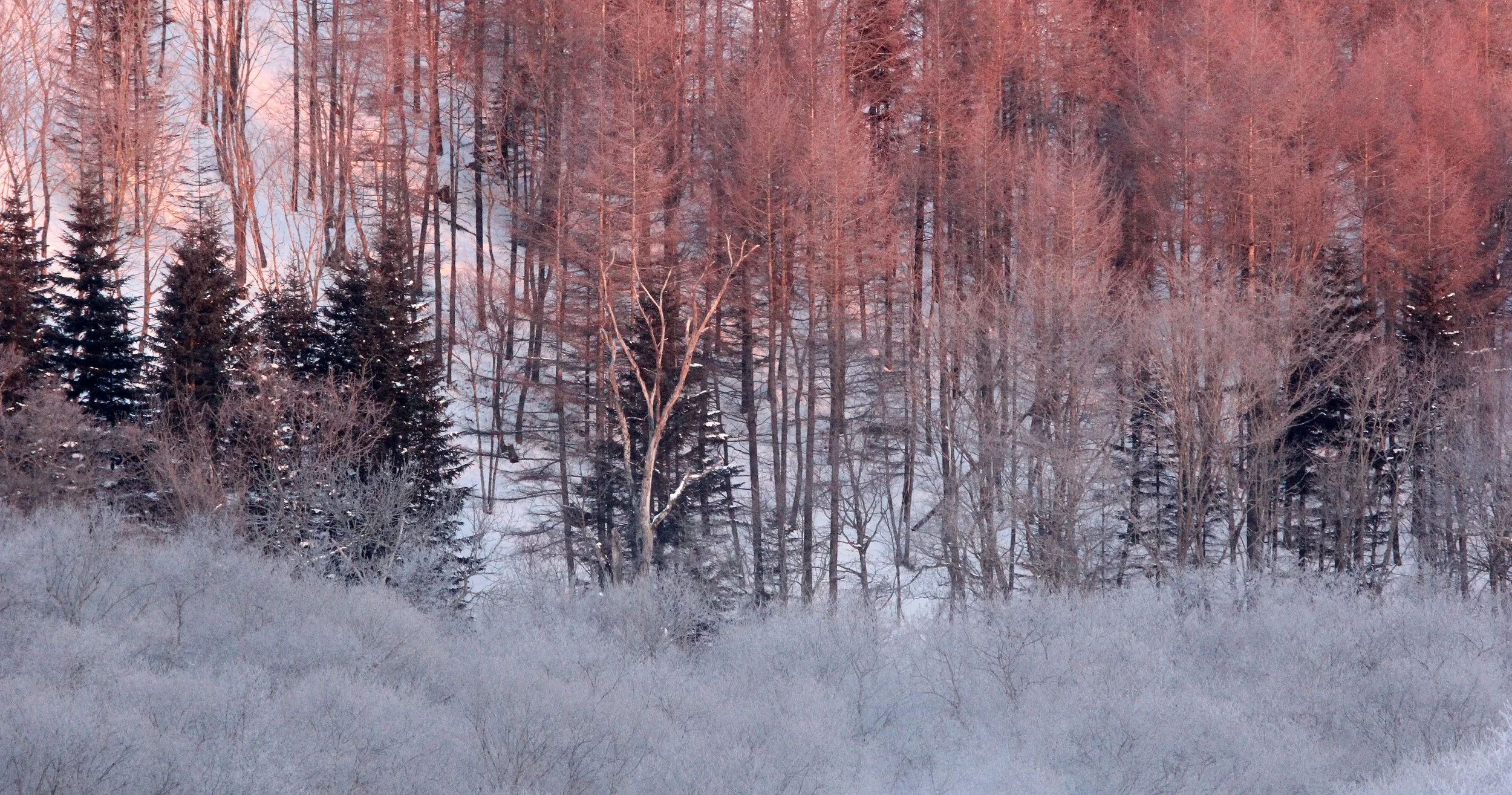 OTOWABASHI SETSUGAWA - TSURUI TOWN - HOKKAIDO JAPAN (18).JPG