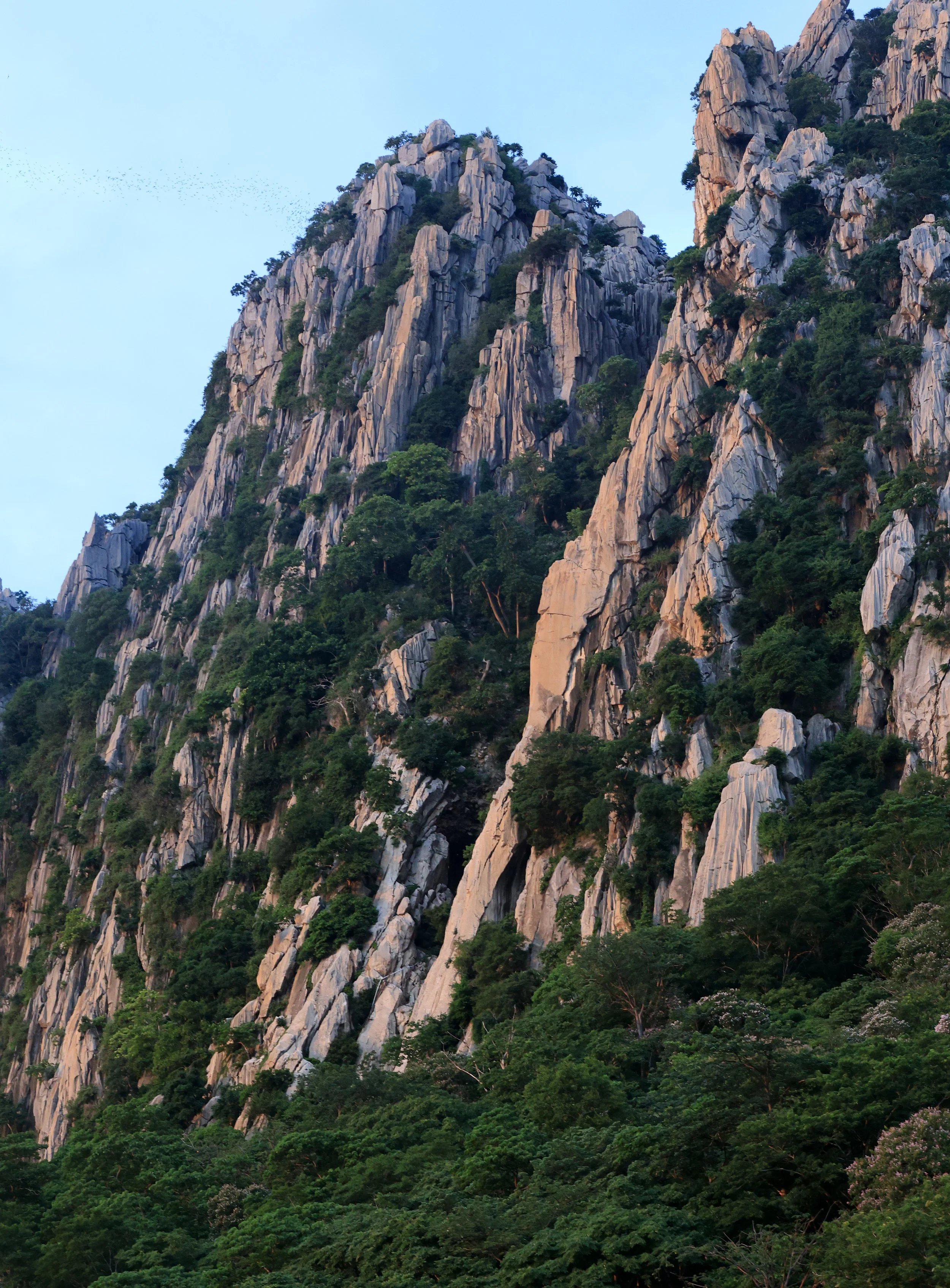 Khao Nor Khao Kaew Bat Viewing Nakhon Sawan (46).jpg