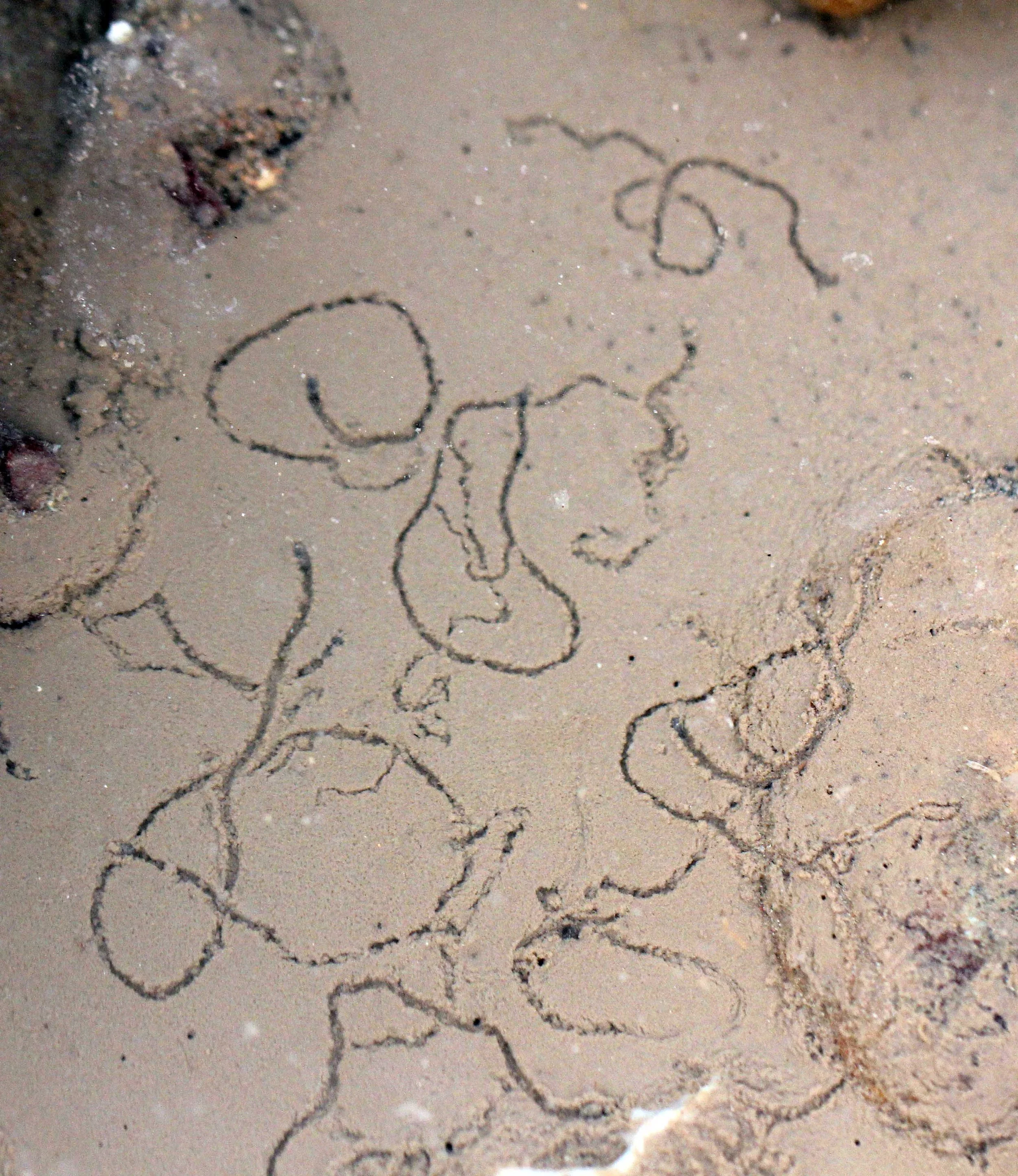 2015 Koh Lanta Songkran with friends from ISB (697).JPG