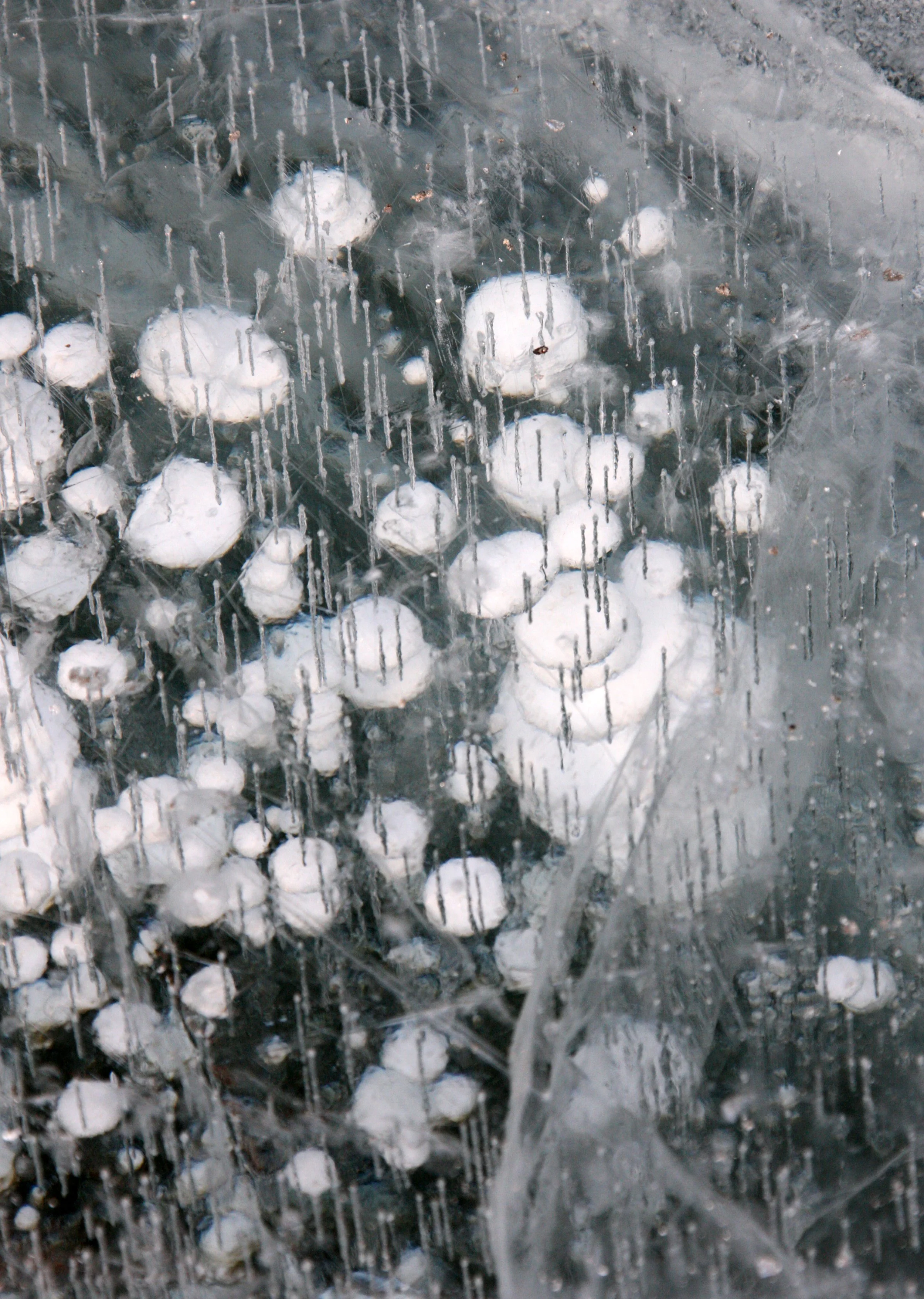 SONGHUA RIVER HARBIN CHINA - ACTIVITY ZONE! (27).JPG