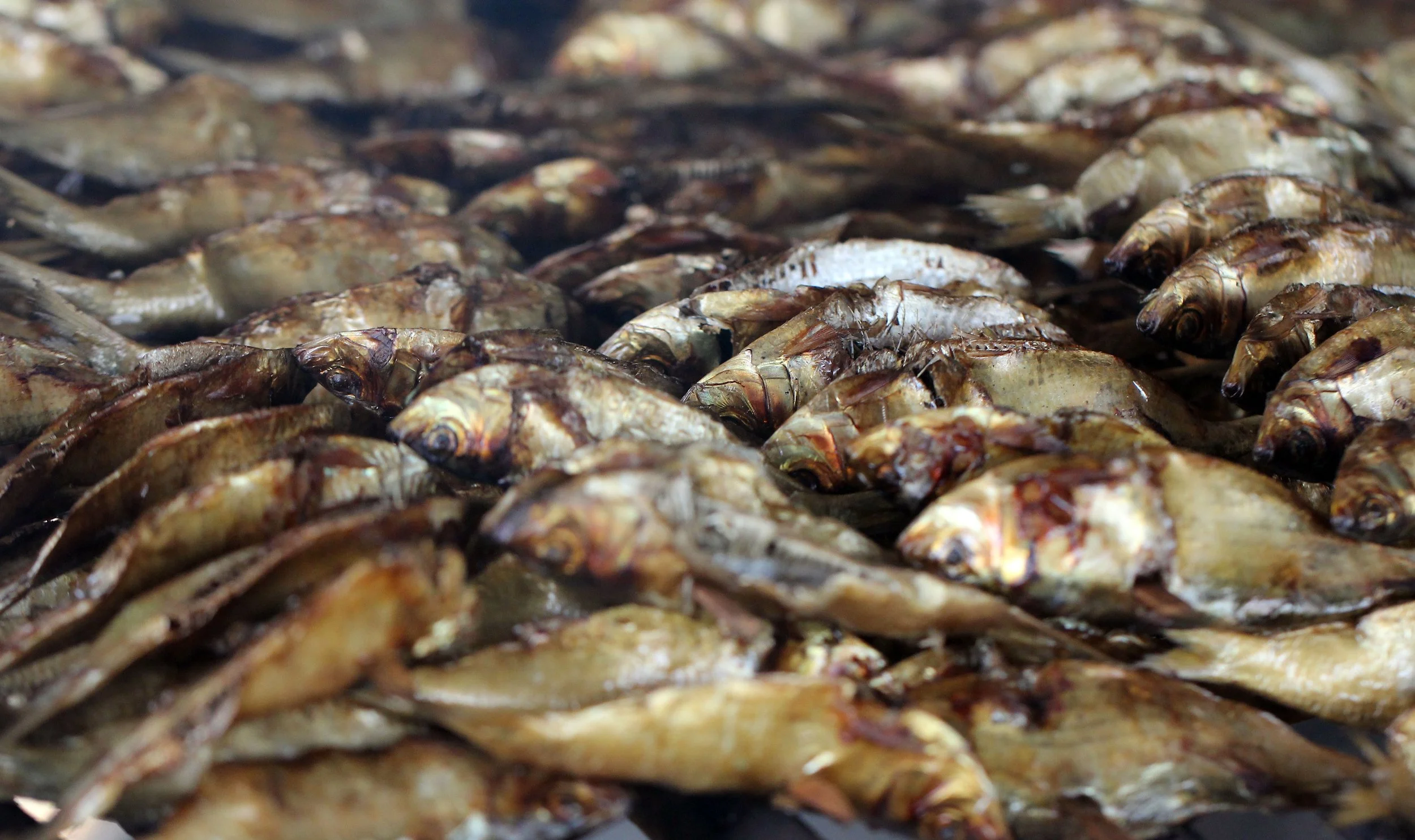 2015 Koh Lanta October Break Trip  (45).JPG