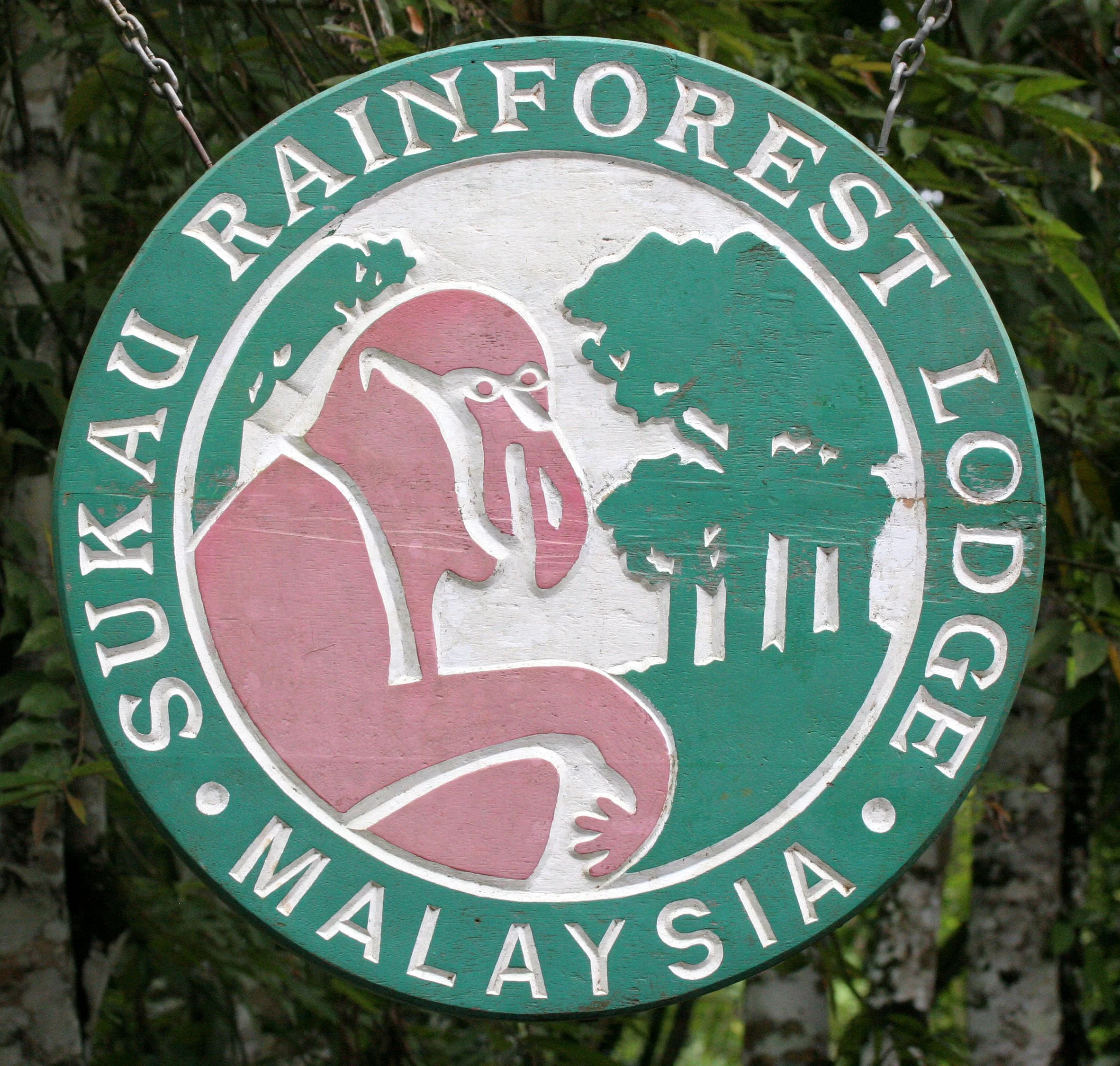 KINABATANGAN RIVER BORNEO - SUKAU RAINFOREST LODGE (8).JPG