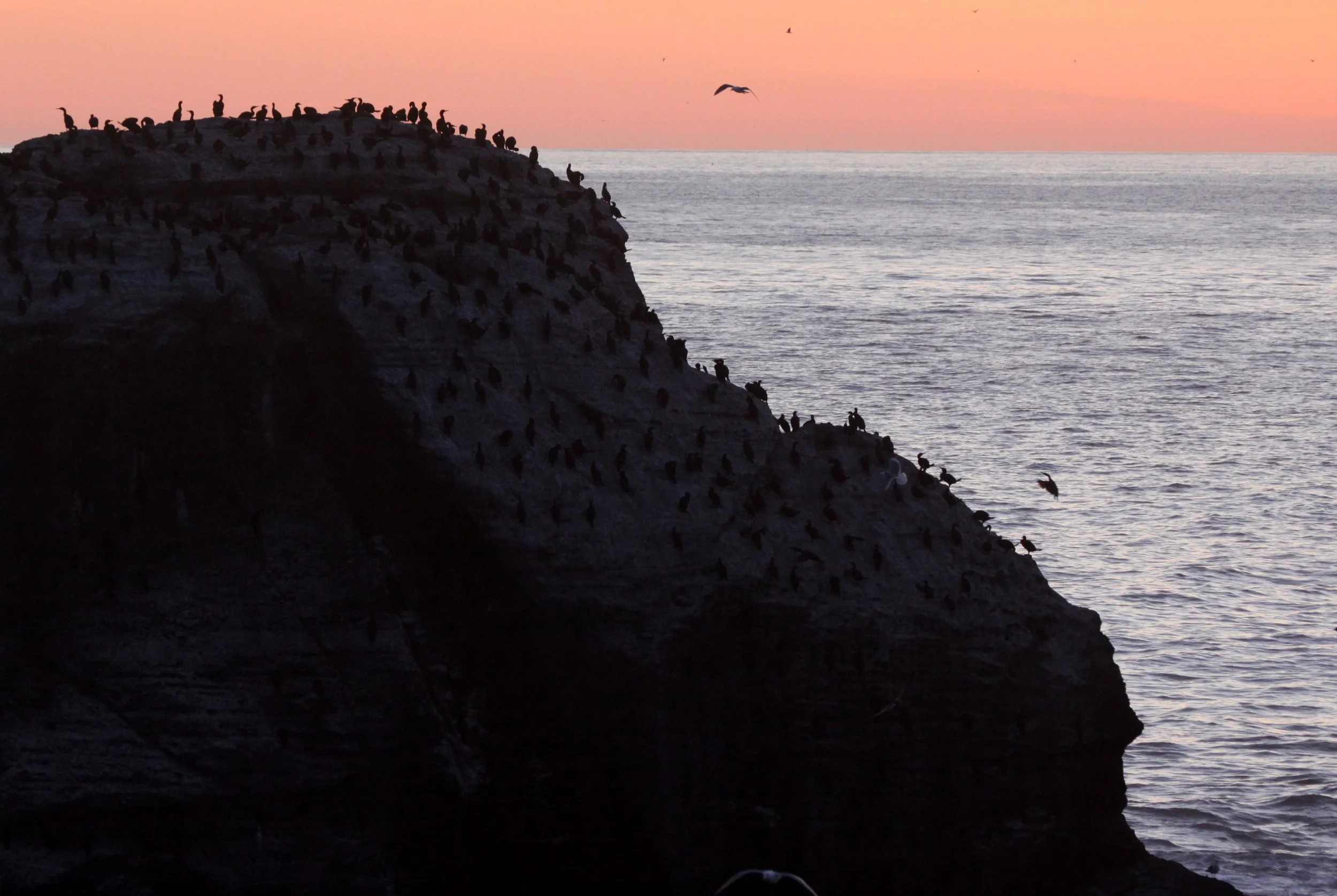 CAPE FLATTERY - SUNSET IN FEBRUARY 2010 (39).JPG