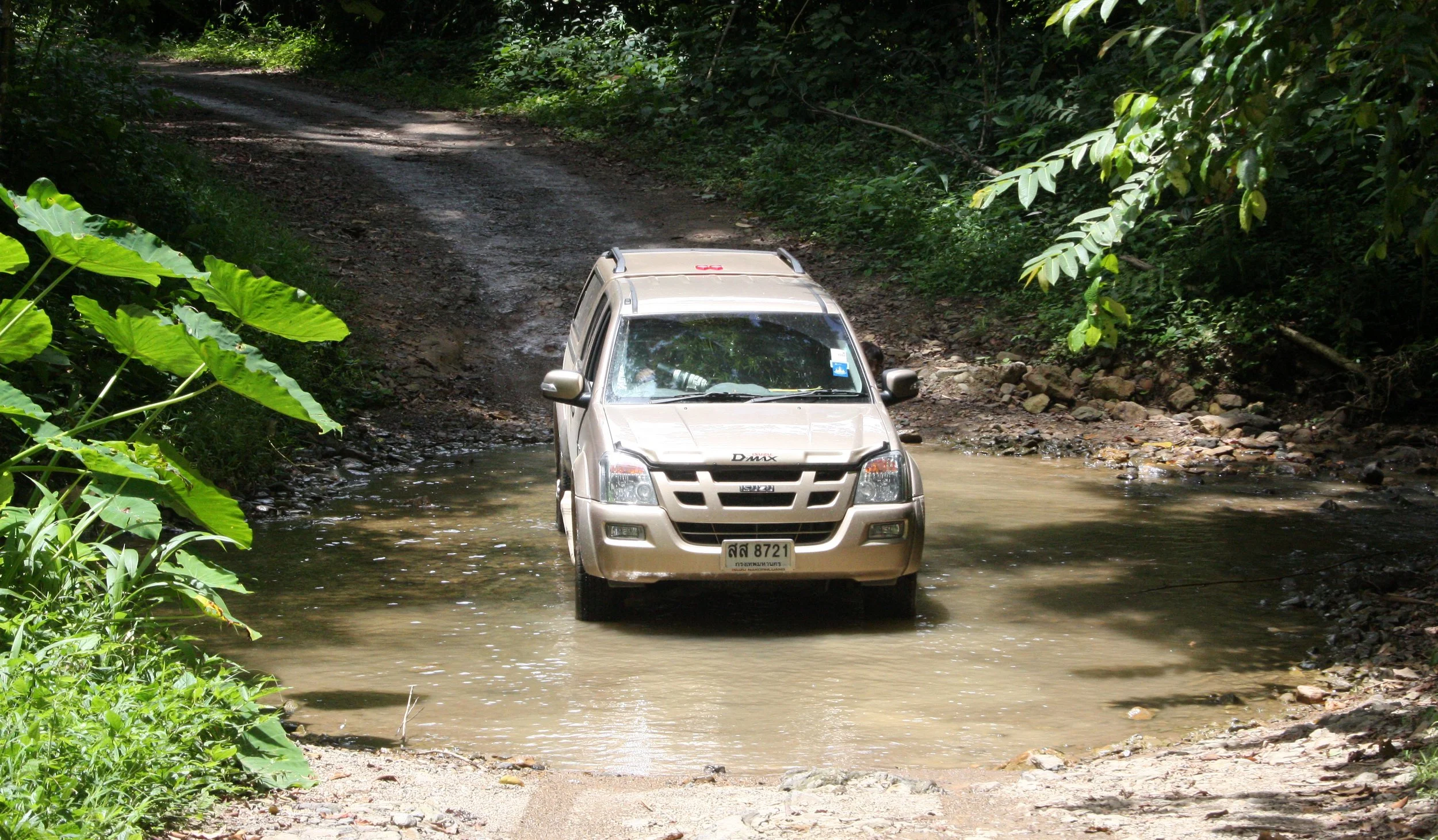 2008 Kaeng Krachan NP Trip with Cokie & Som (63).JPG