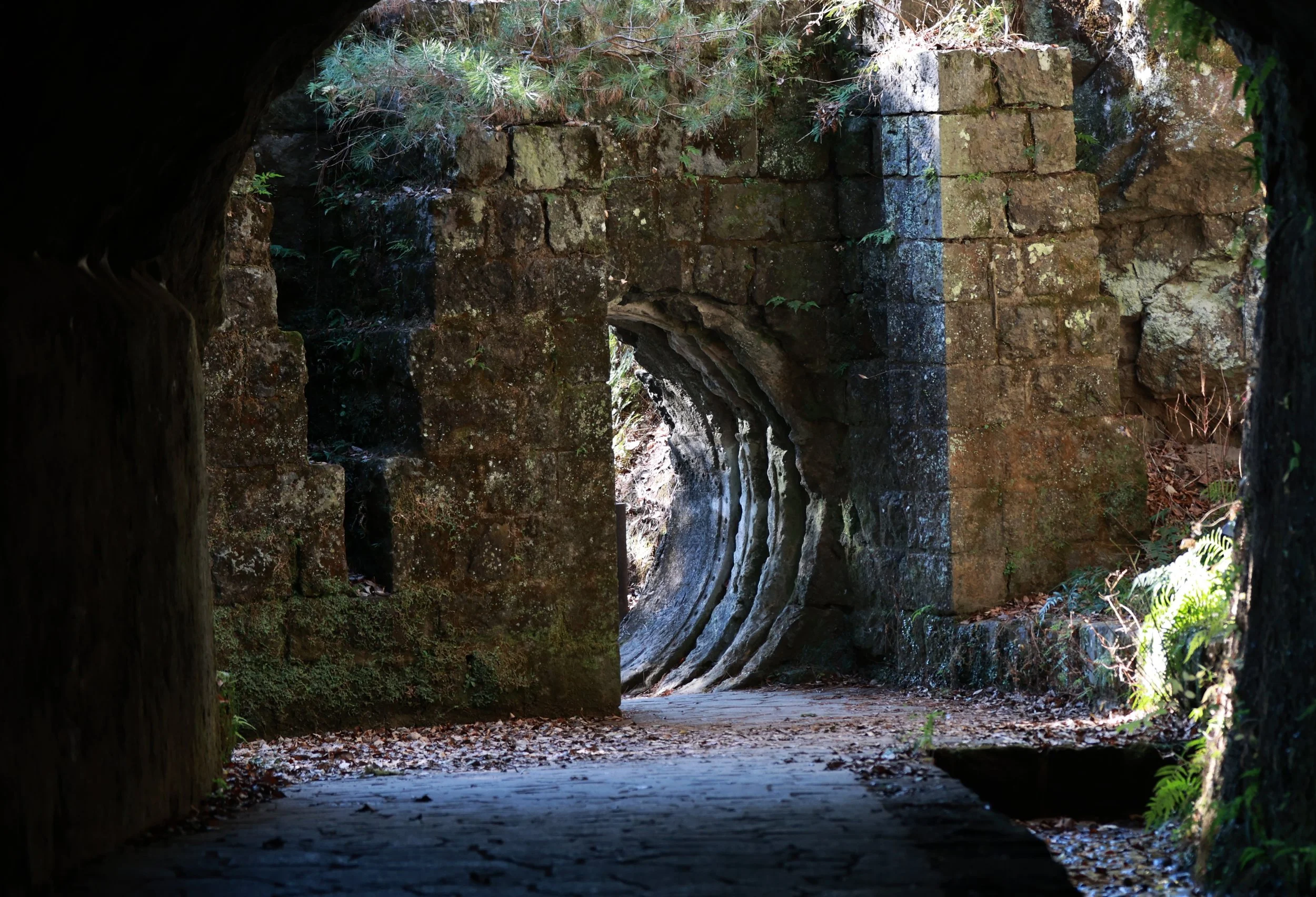 Sogi Waterfalls & Canyon, Kagoshima Japan (78).jpg