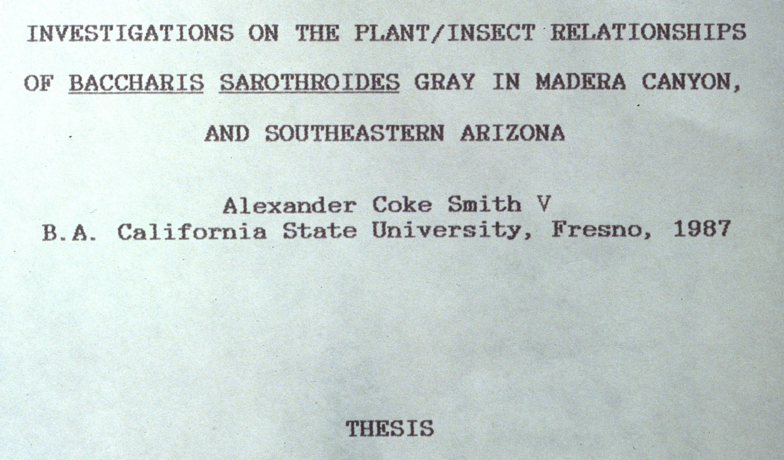 ARIZONA - MADERA CANYON - RESEARCH A.jpg