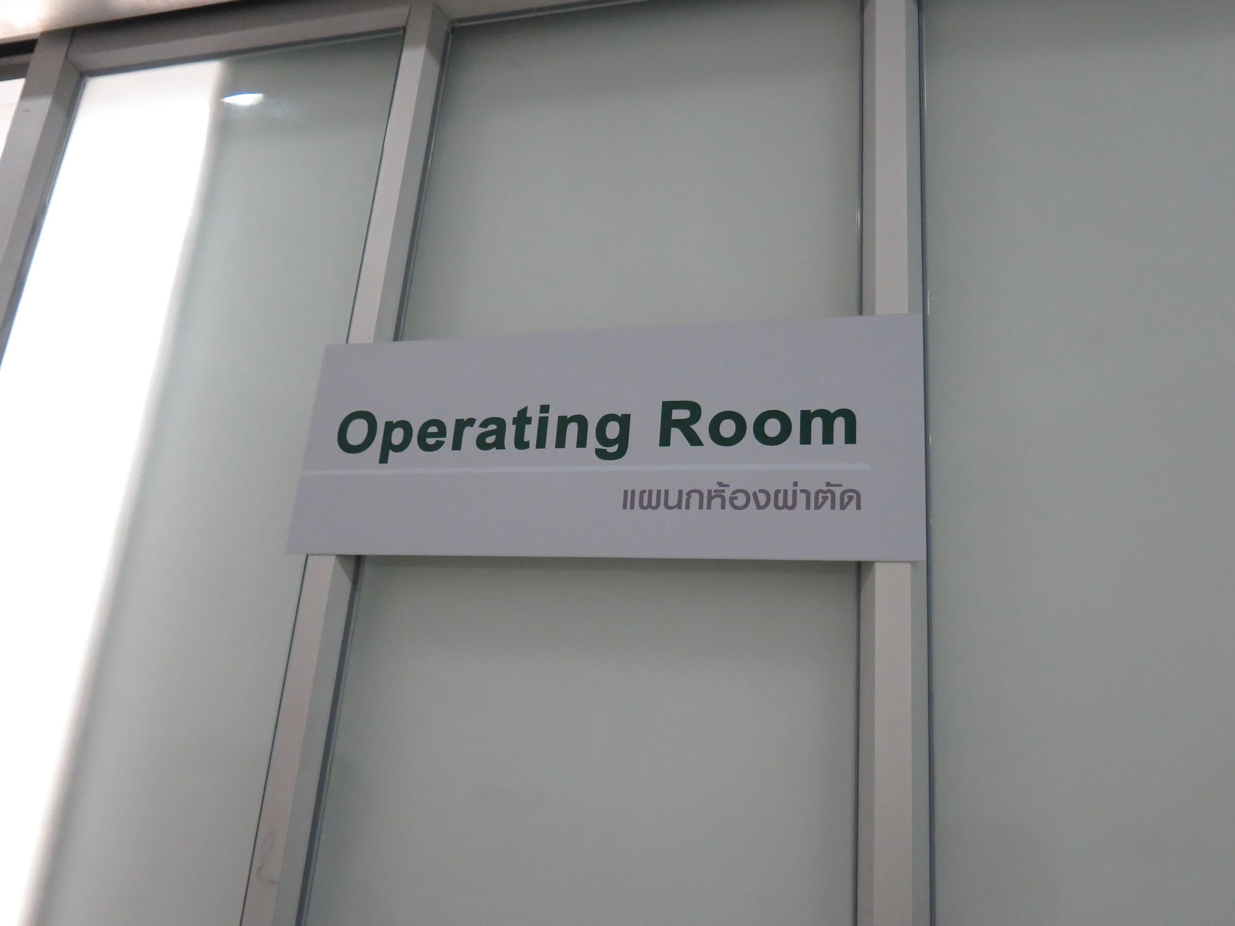 2014 - Cokie's Surgery (5).JPG