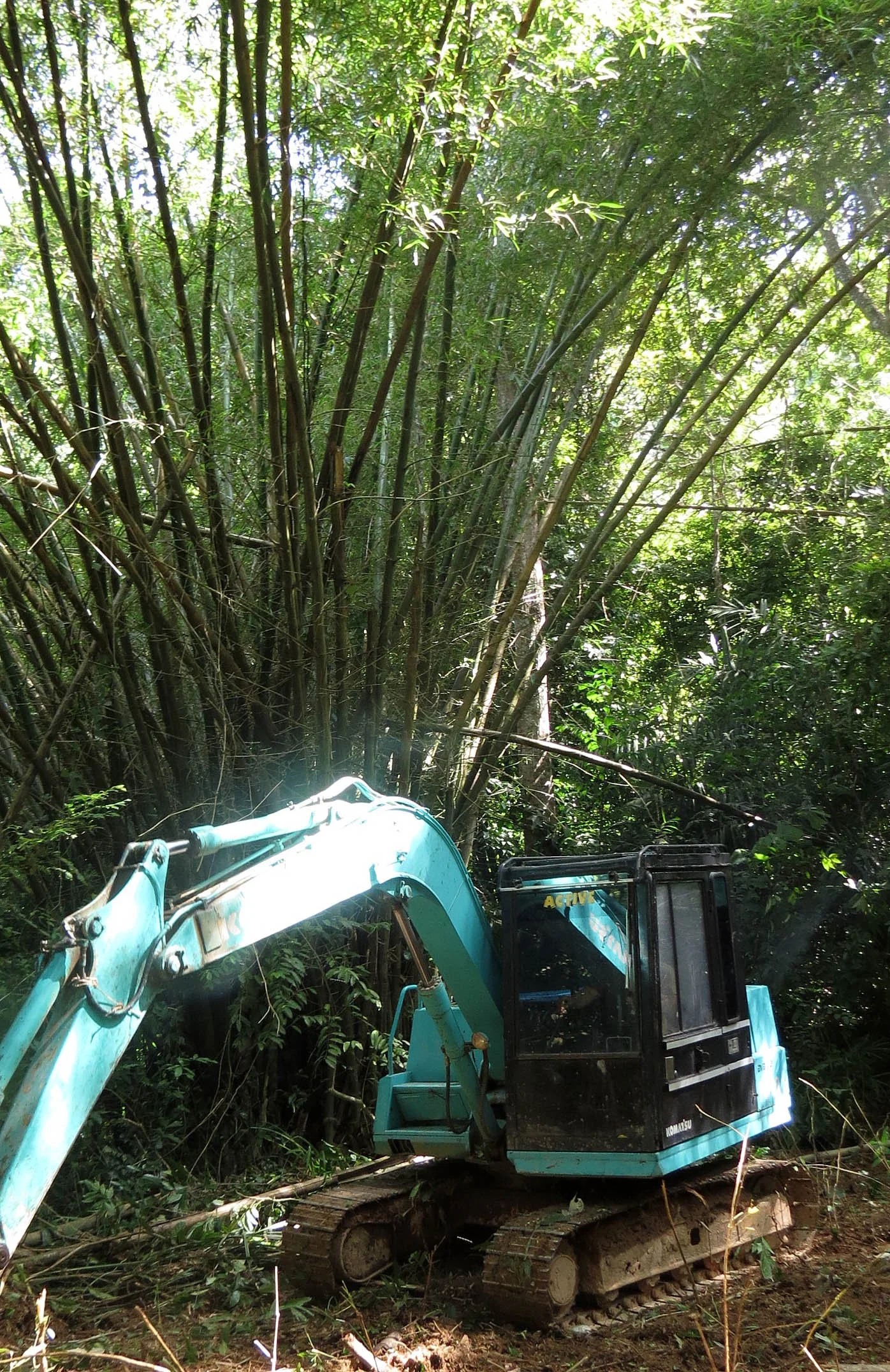 2014 Koh Lanta Build (8).JPG