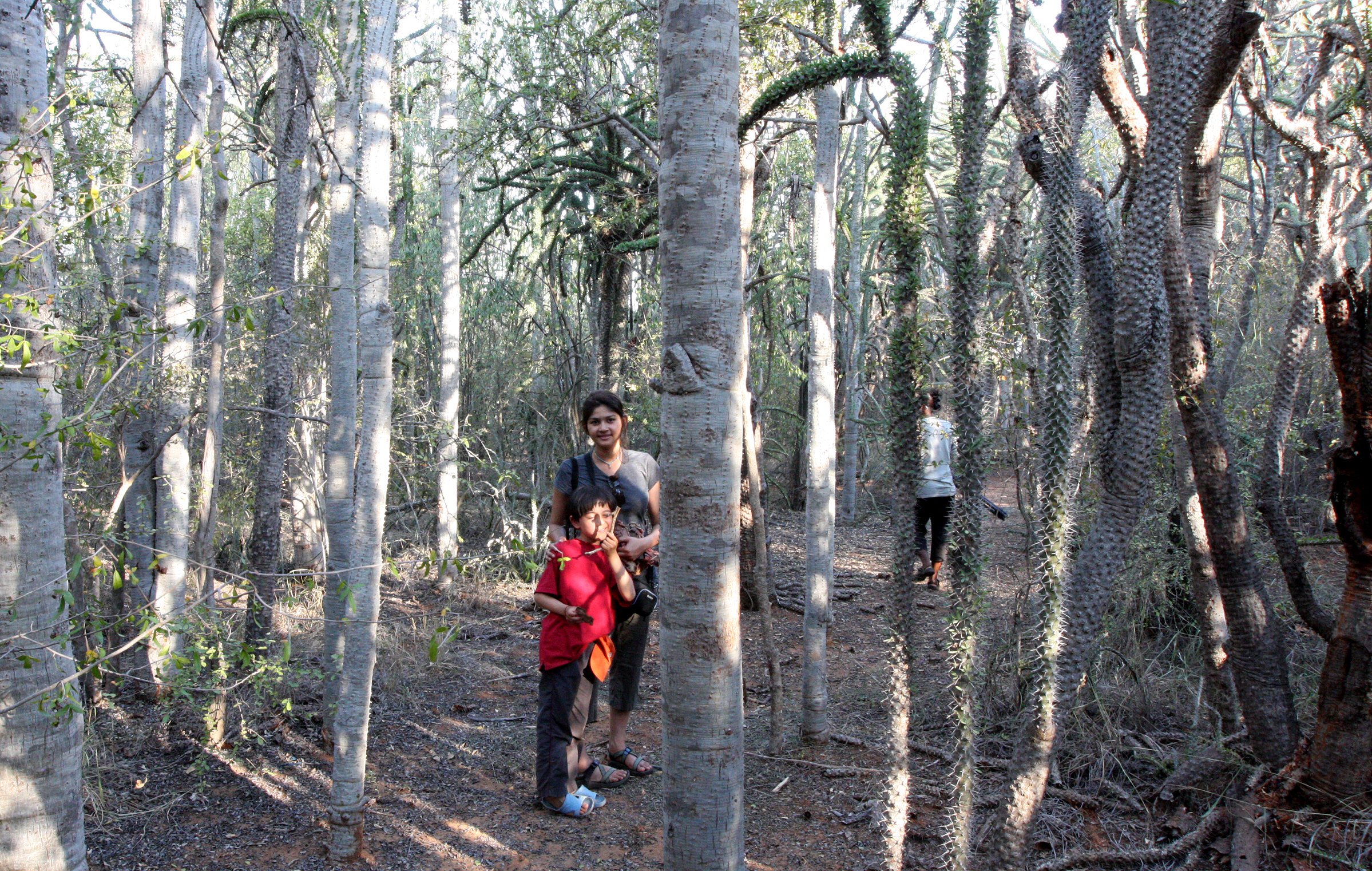 BERENTY RESERVE MADAGASCAR - TREKKING THE SPINY FOREST (5).JPG