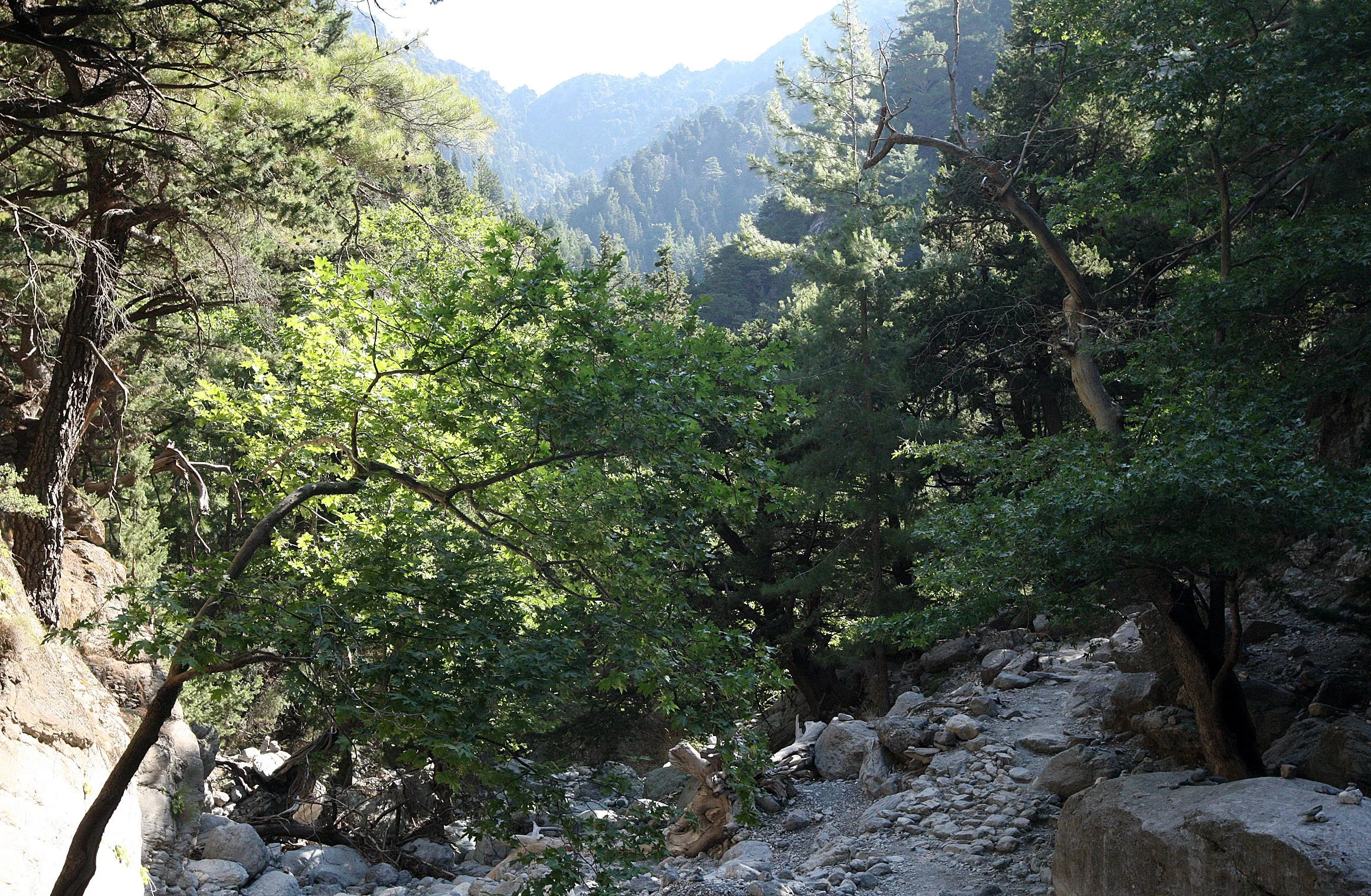 SAMARIA GORGE NATIONAL PARK CRETE (29).JPG