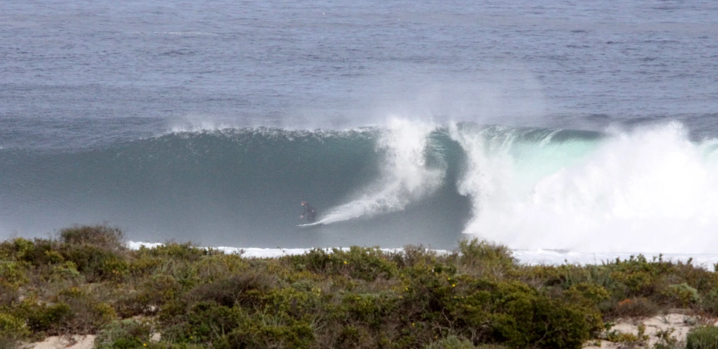 LAMBERT'S BAY SOUTH AFRICA - SURF'S UP! (15).JPG