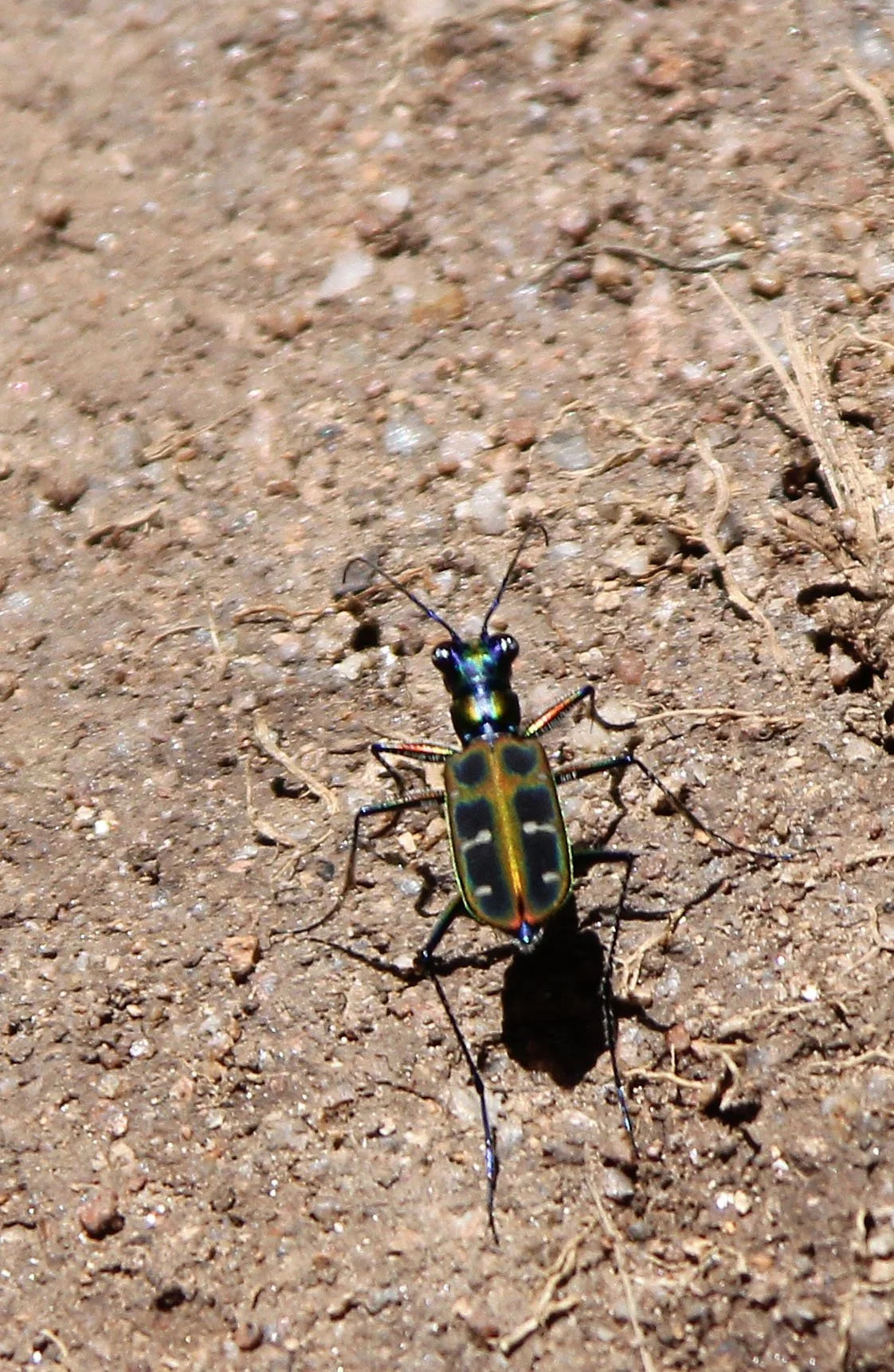 PANG BUA VILLAGE CHIANG MAI - SOLAR VILLAGE (98).JPG