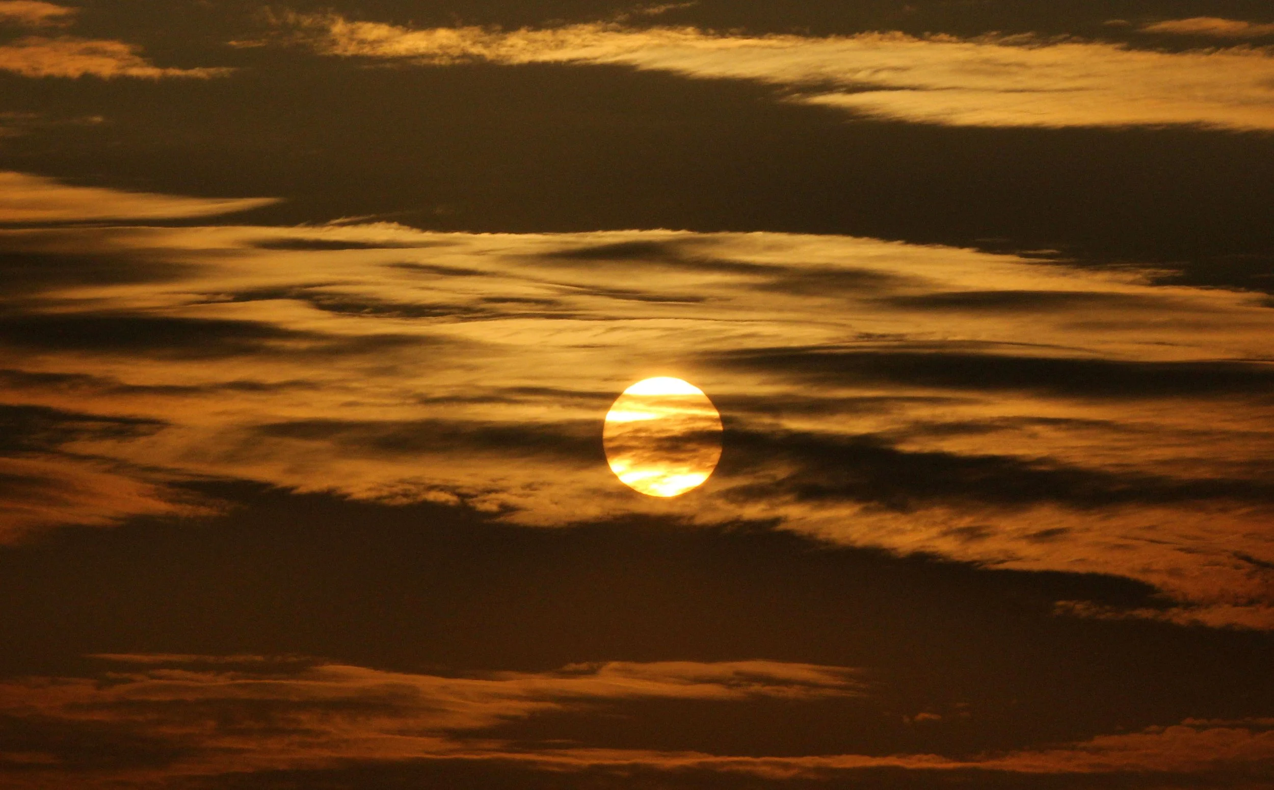 BUS RIDE TO SAS - DECEMBER 2012 (26).JPG