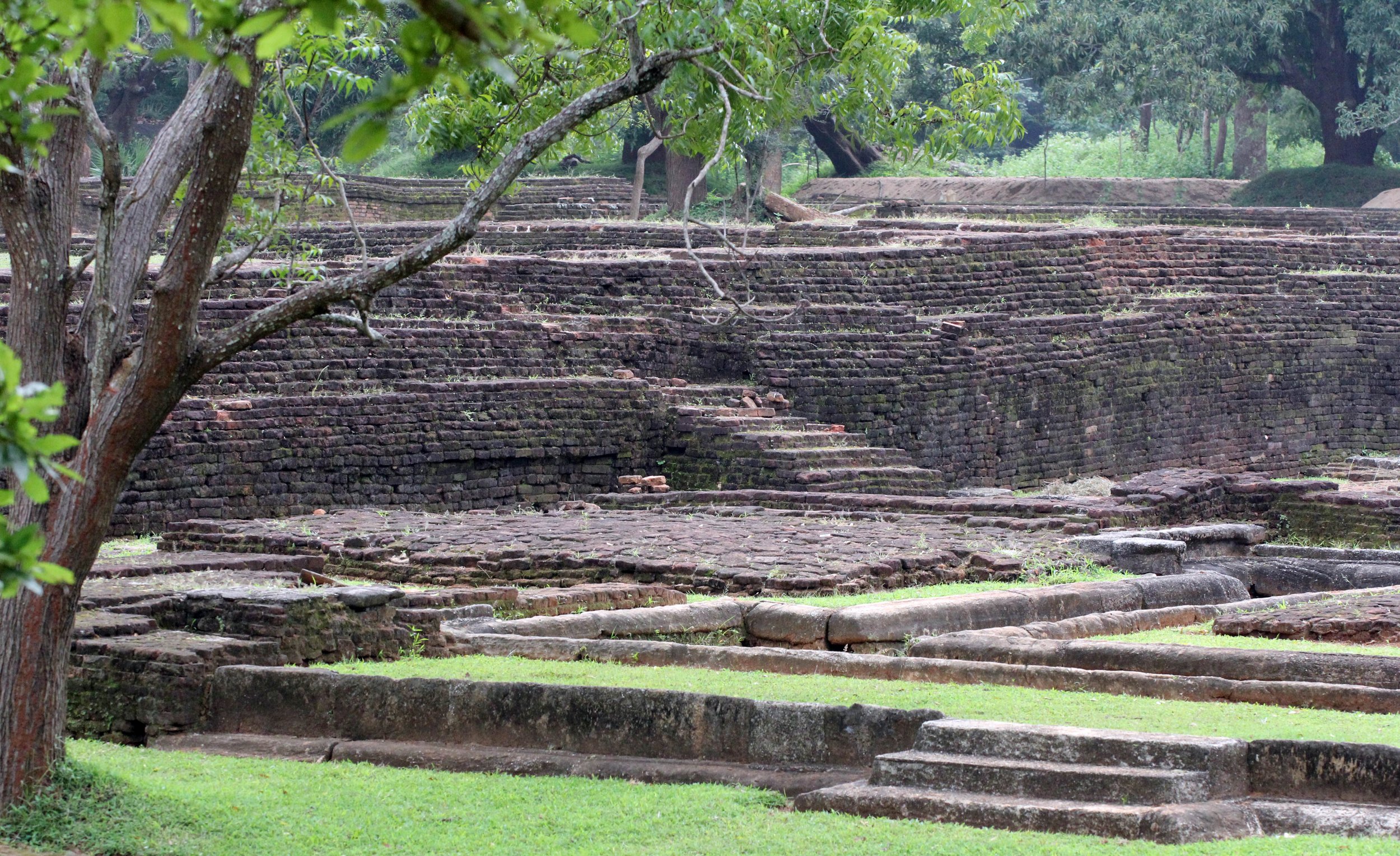 SIRIGIYA FOREST AND FORTRESS AREA SRI LANKA - PHOTO BY SOM SMITH (97).JPG