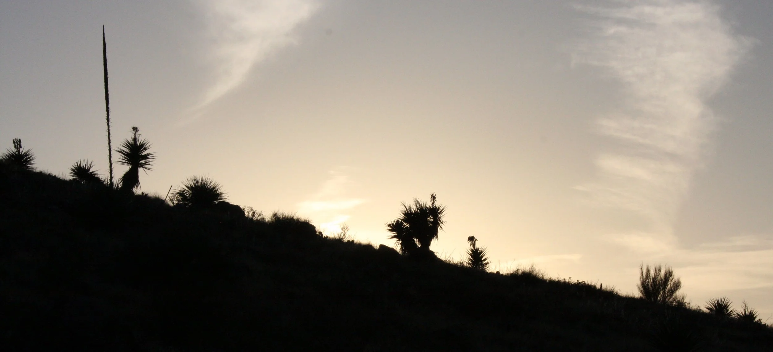 LAS CRUCES - A MOUNTAIN RECREATION AREA.JPG