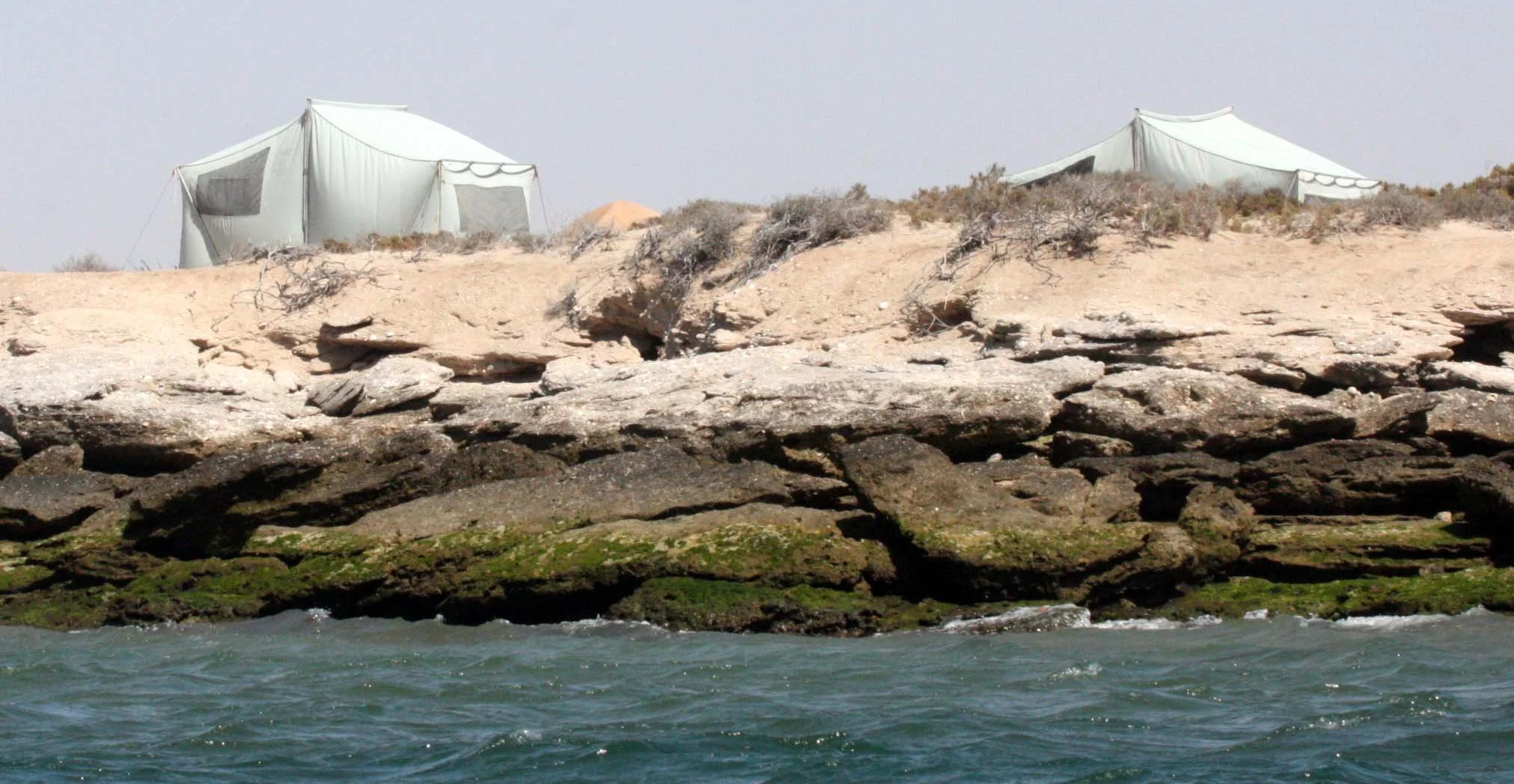 SAN IGNACIO LAGOON BAJA MEXICO - CAMPO BAJA ECOTOURS (2).JPG
