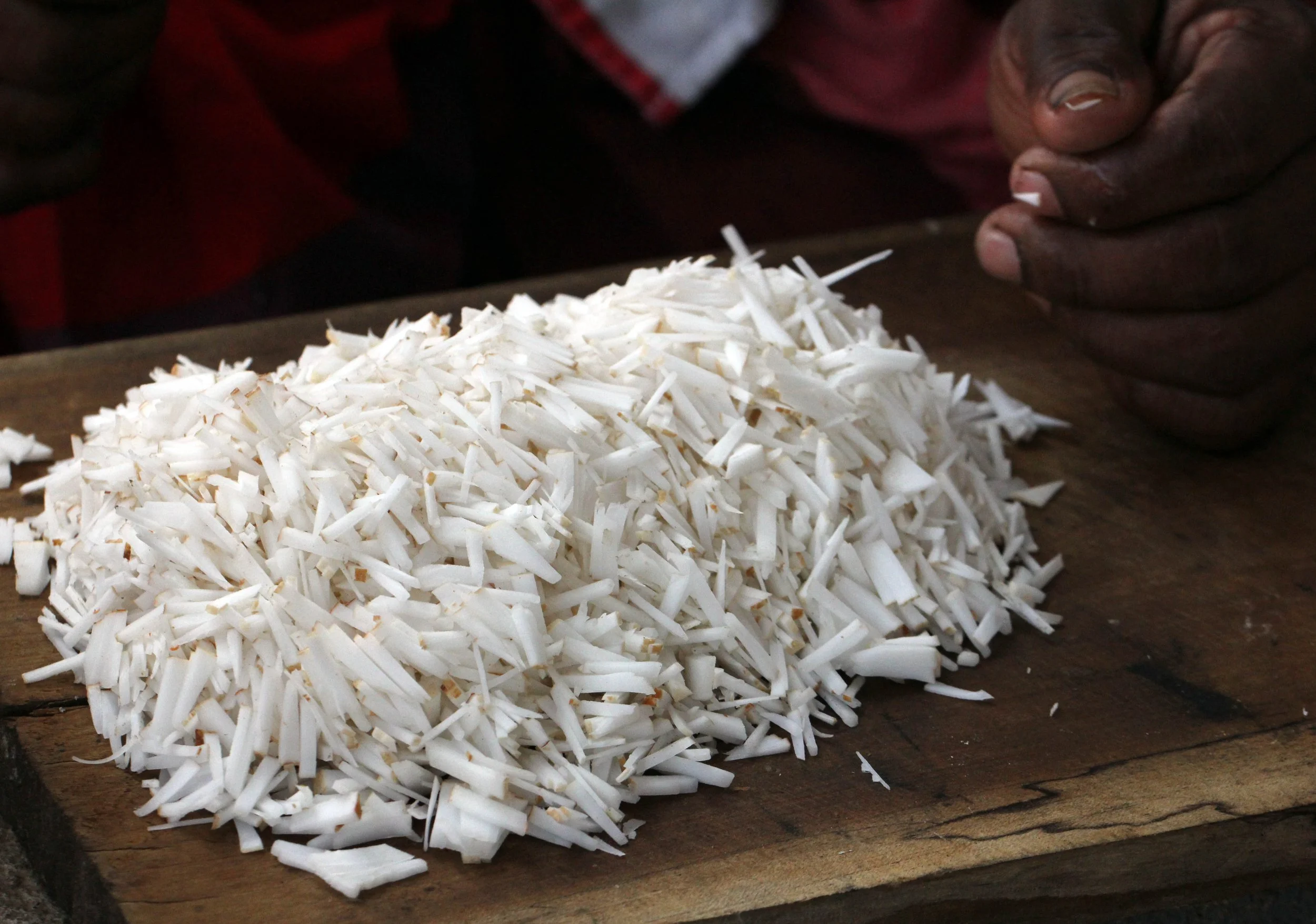 SIRIGIYA FOREST AND FORTRESS AREA SRI LANKA - PHOTO BY SOM SMITH (35).JPG