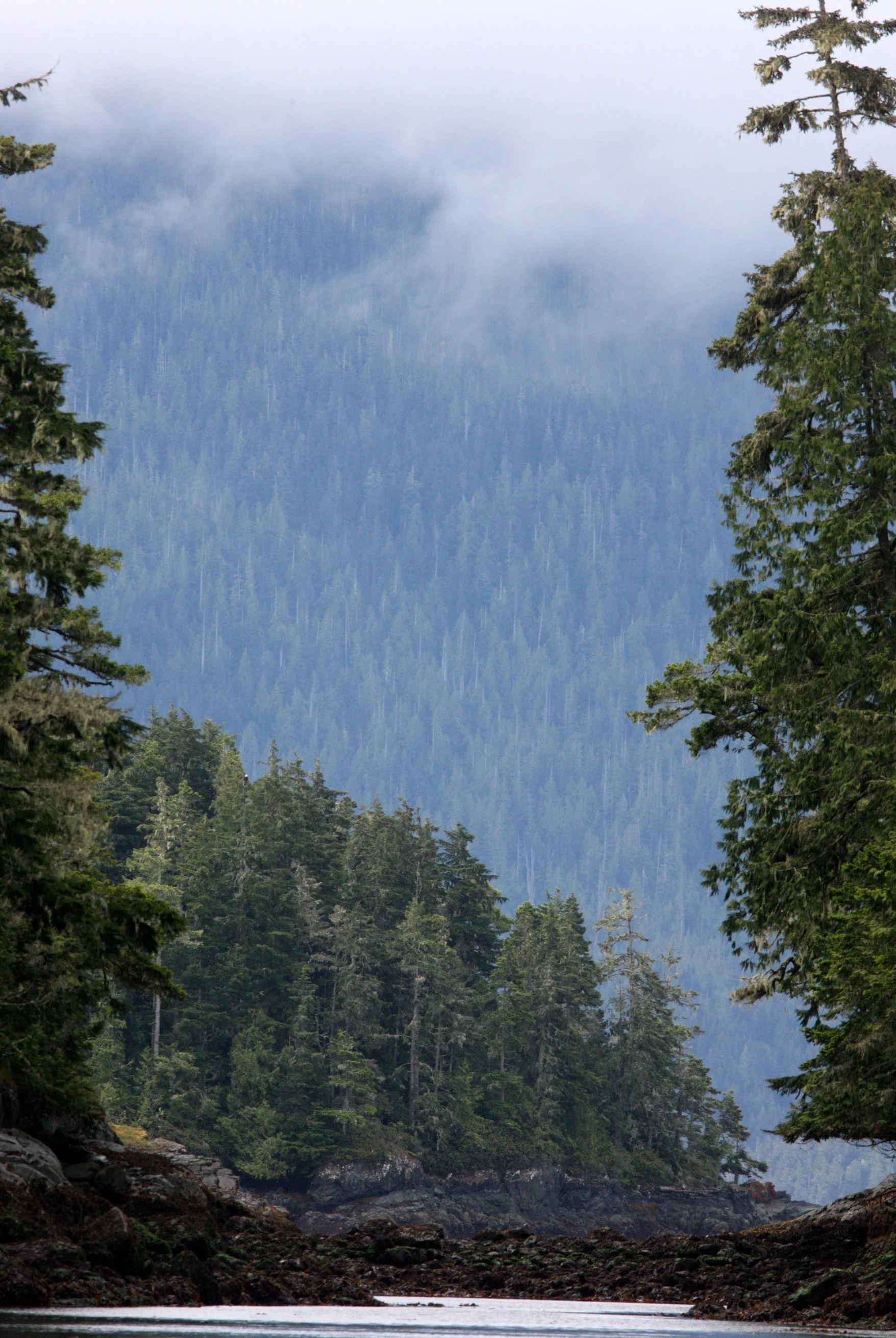 KNIGHT'S INLET BRITISH COLUMBIA (10).JPG