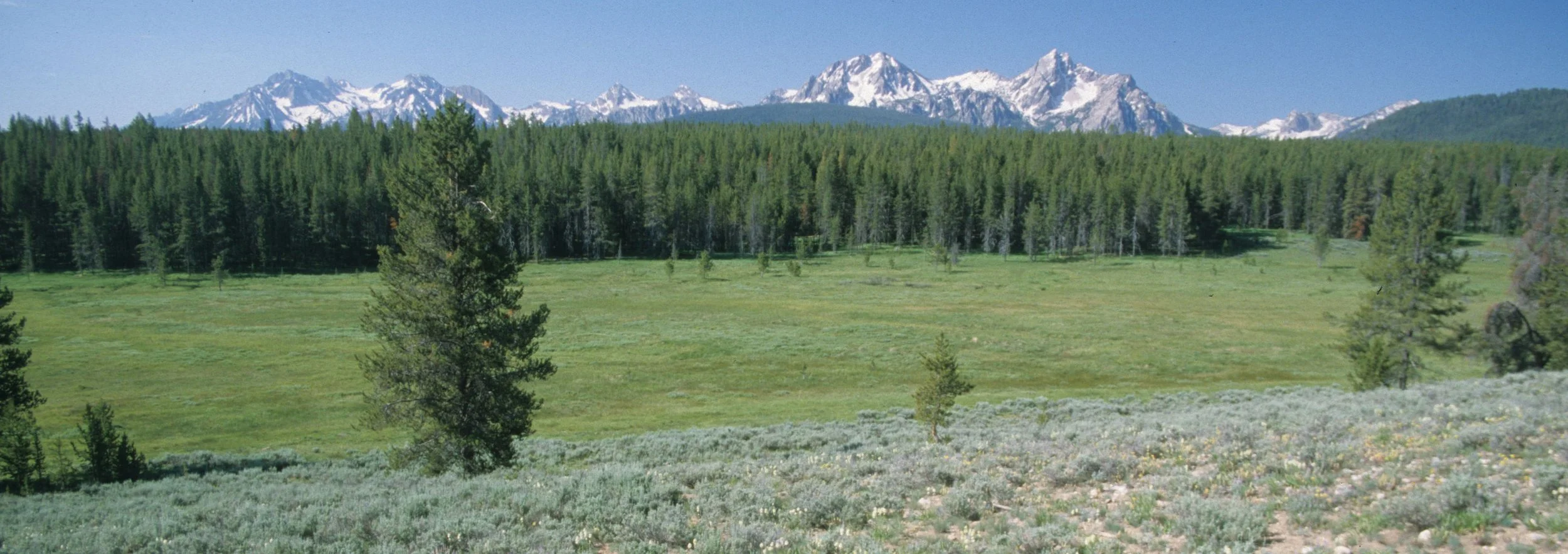 IDAHO - SAWTOOTH MOUNTAINS A1.jpg