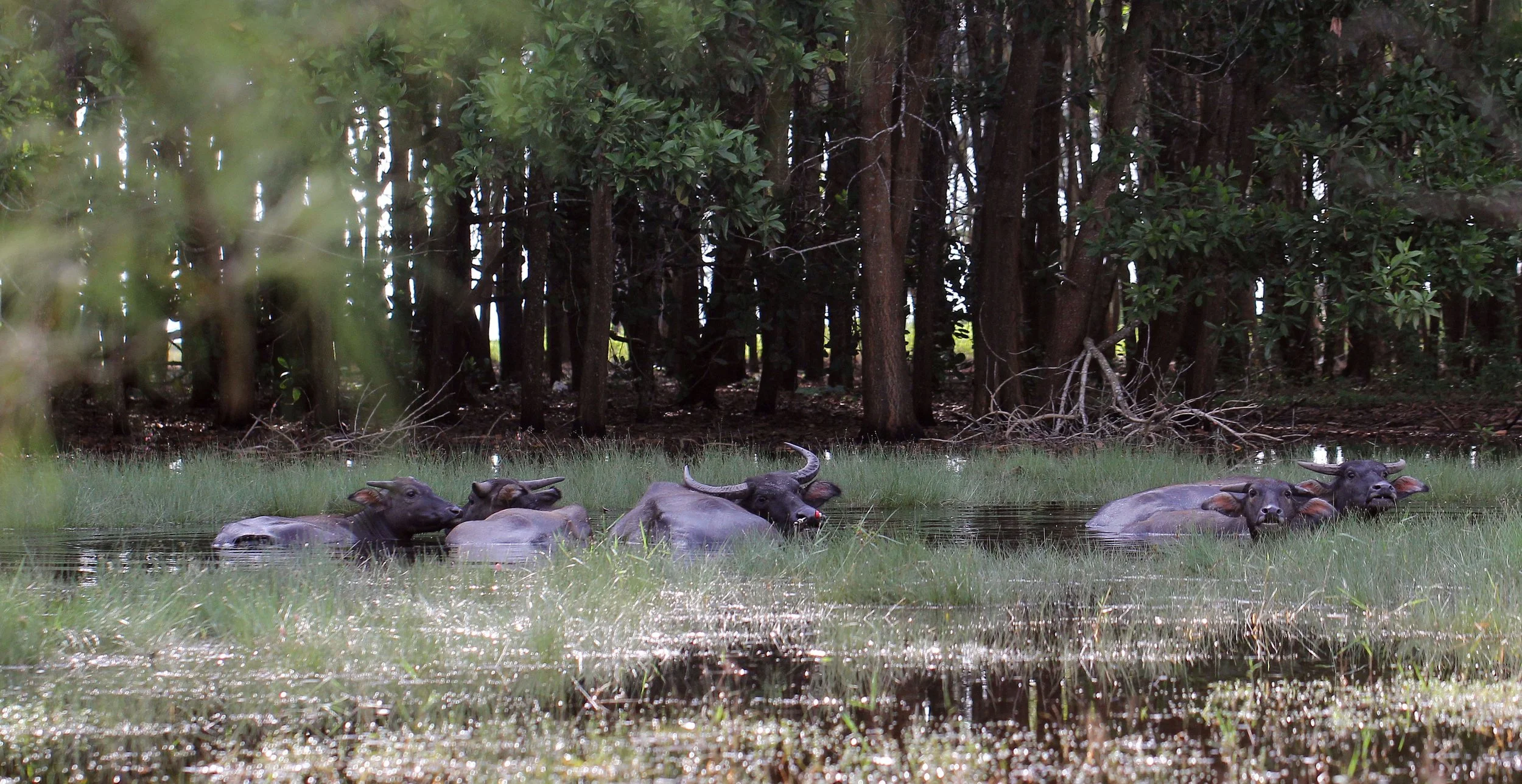 2015 Koh Lanta October Break Trip  (50).JPG