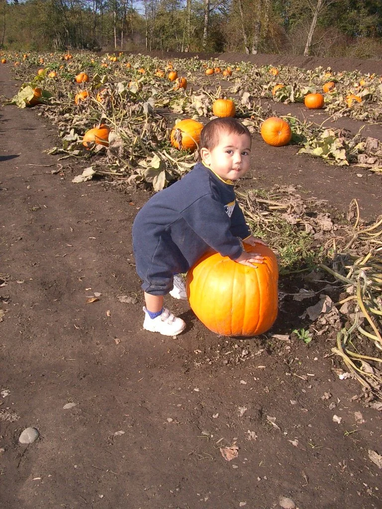 2003-10-26 PUMPKIN PATCH PORT ANGELES (17).JPG