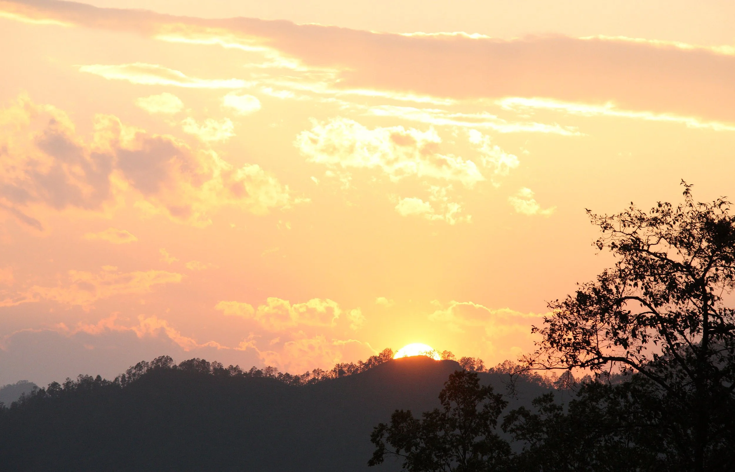 YUNNAN - WULIANGSHAN NATURE RESERVE AND SURROUNDING REGION (59).JPG