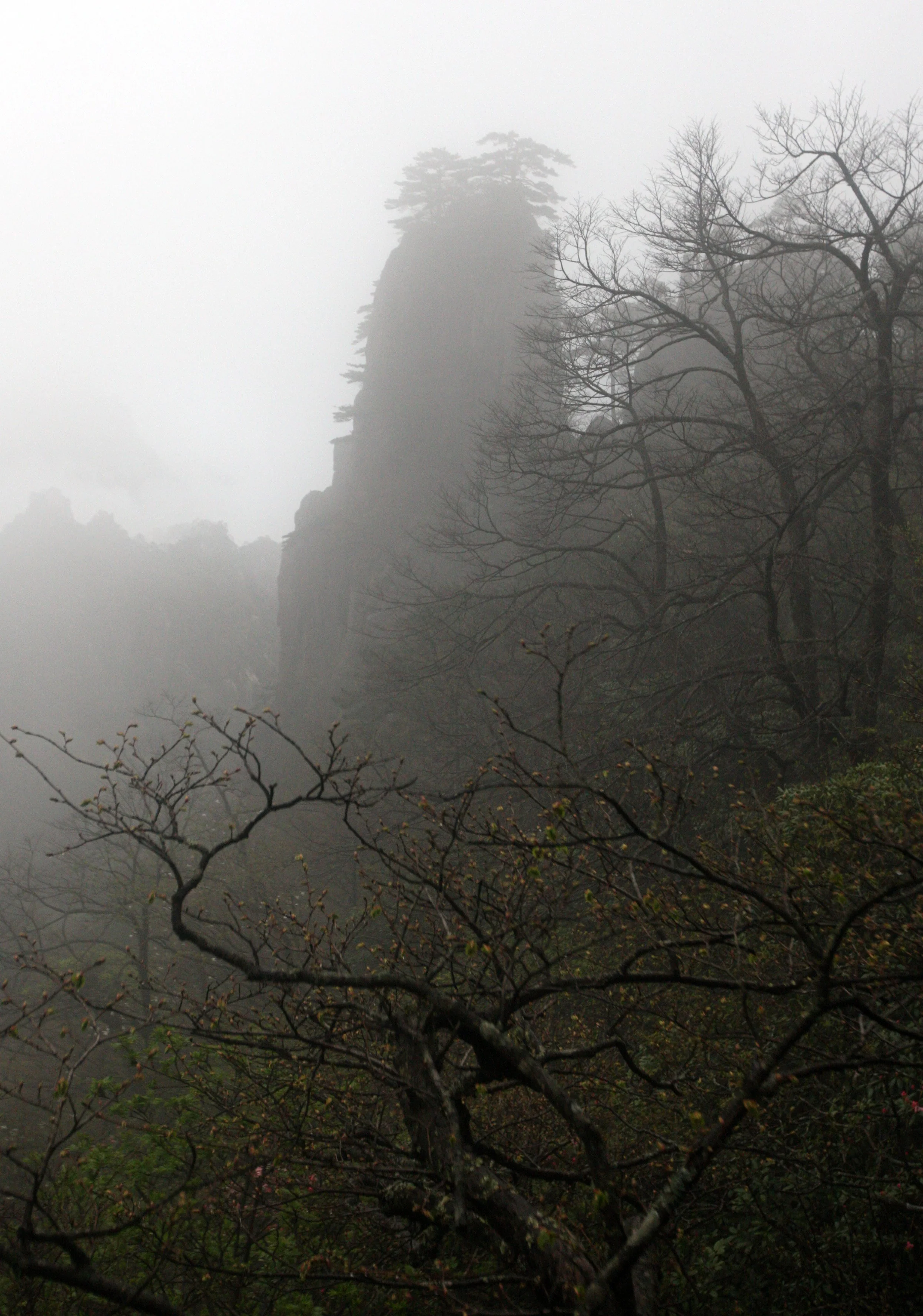 HUANGSHAN NATIONAL PARK ANHUI PROVINCE CHINA (230).JPG