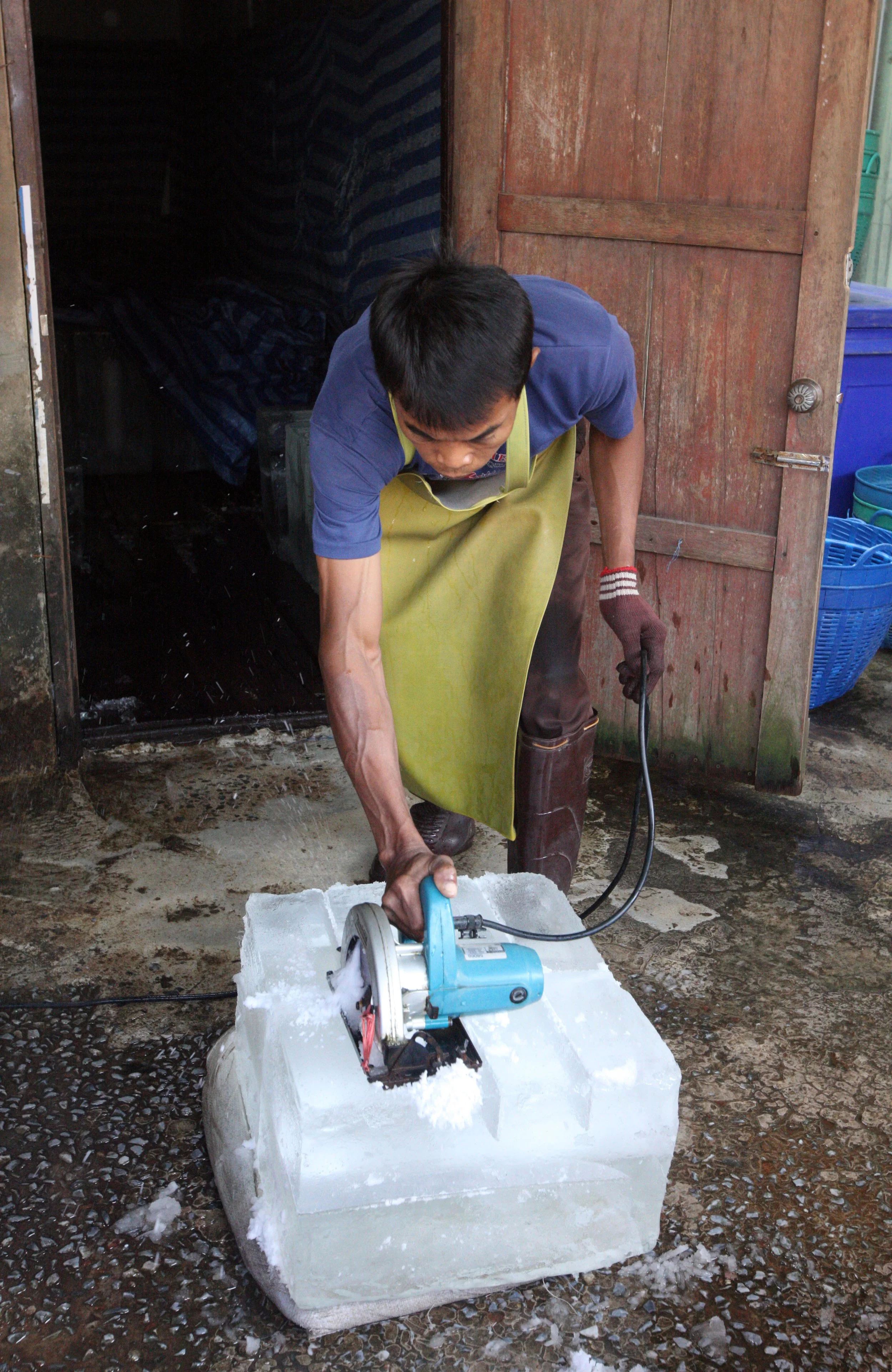 2014 Huai Kha Khaeng Bruce Kekule Trip (192).JPG