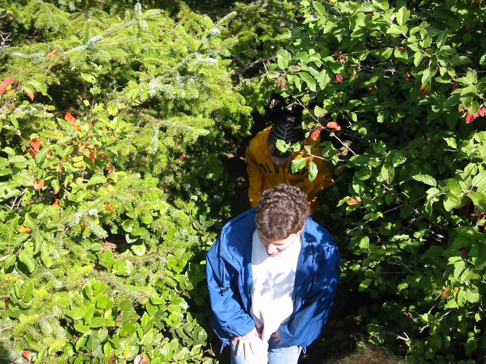 2003-8-3 WASHINGTON VISIT WITH THE ROBINSONS (94).JPG