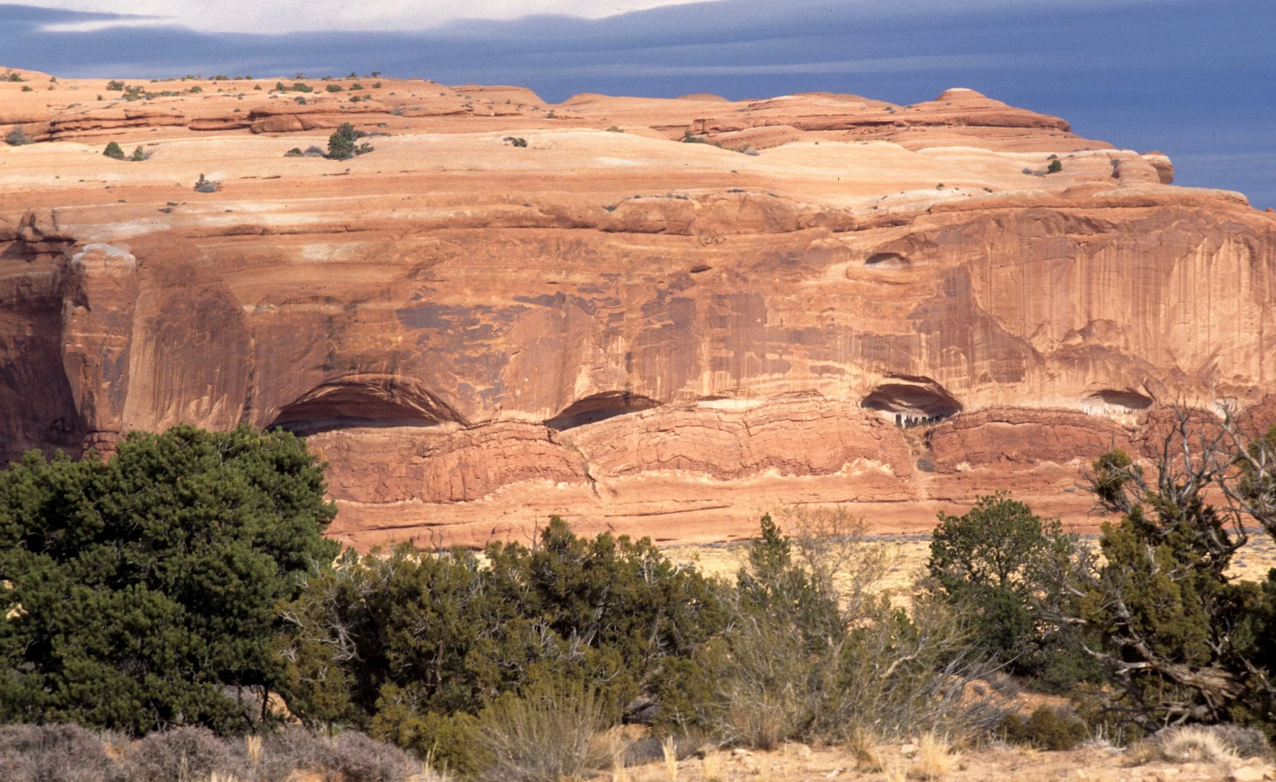 UTAH - CANYONLANDS NP M.jpg