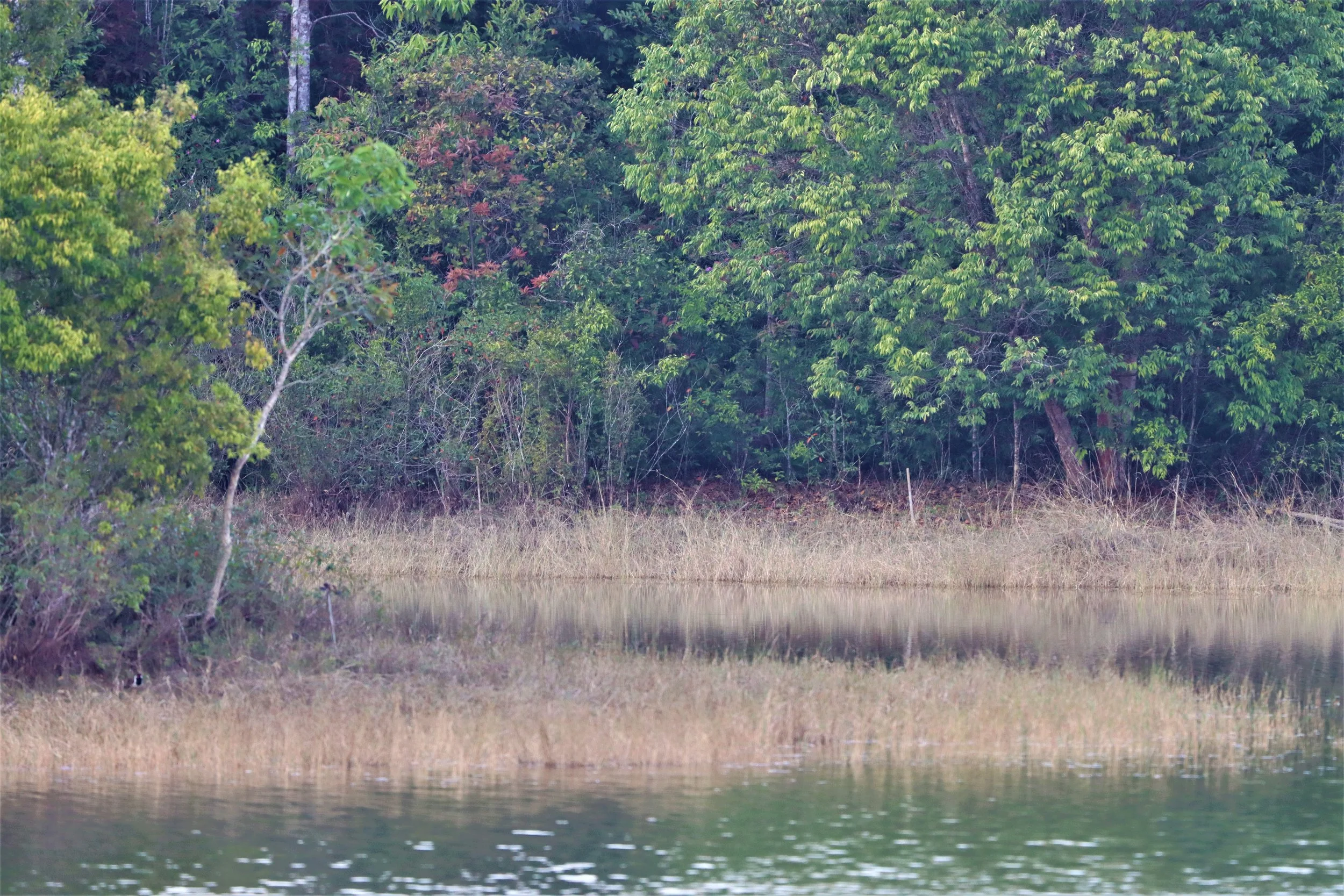 Sai Sorn Reservoir (อ่างเก็บน้ำสายศร). It is a vital water source and a popular spot for wildlife viewing, photography, and relaxing.  Built by the park's first director it was purposed to provide water for the park's operations and wildlife.