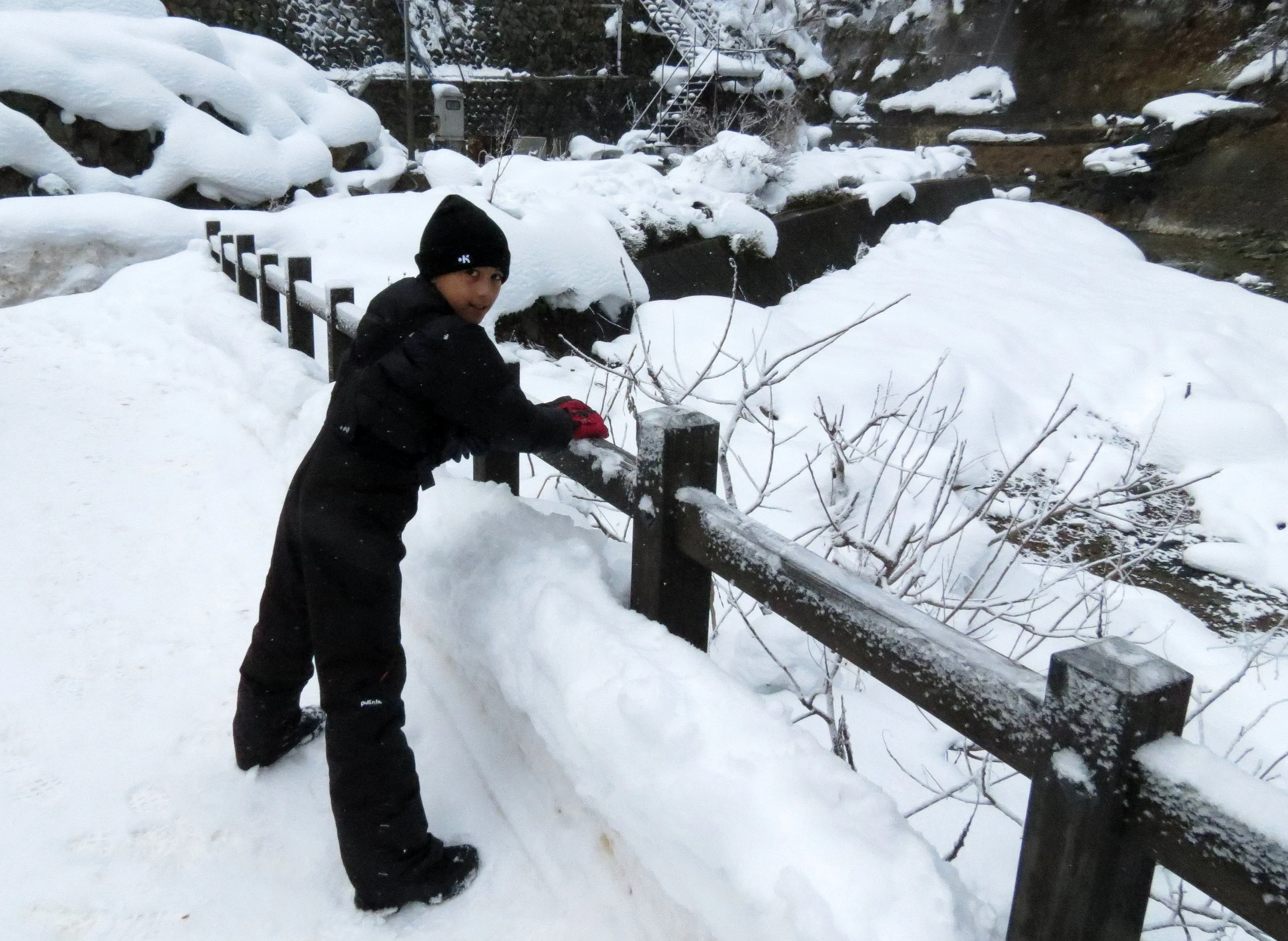 JIGOKUDANI ONSEN - KORAKUKAN RYOKAN - NAGANO PREFECTURE JAPAN (15).JPG