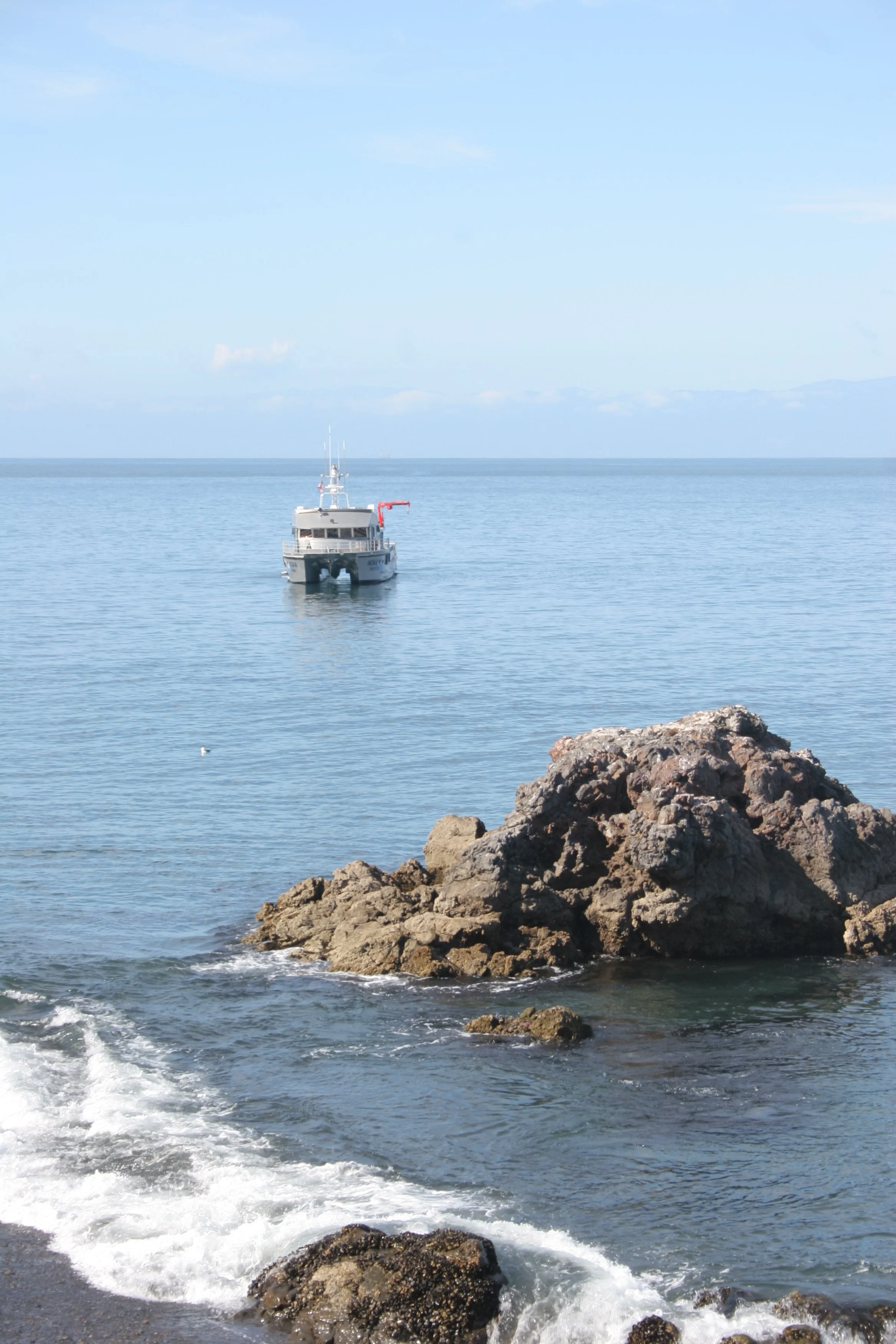 CALIFORNIA - CHANNEL ISLANDS NP - ANACAPA ISLAND.jpg