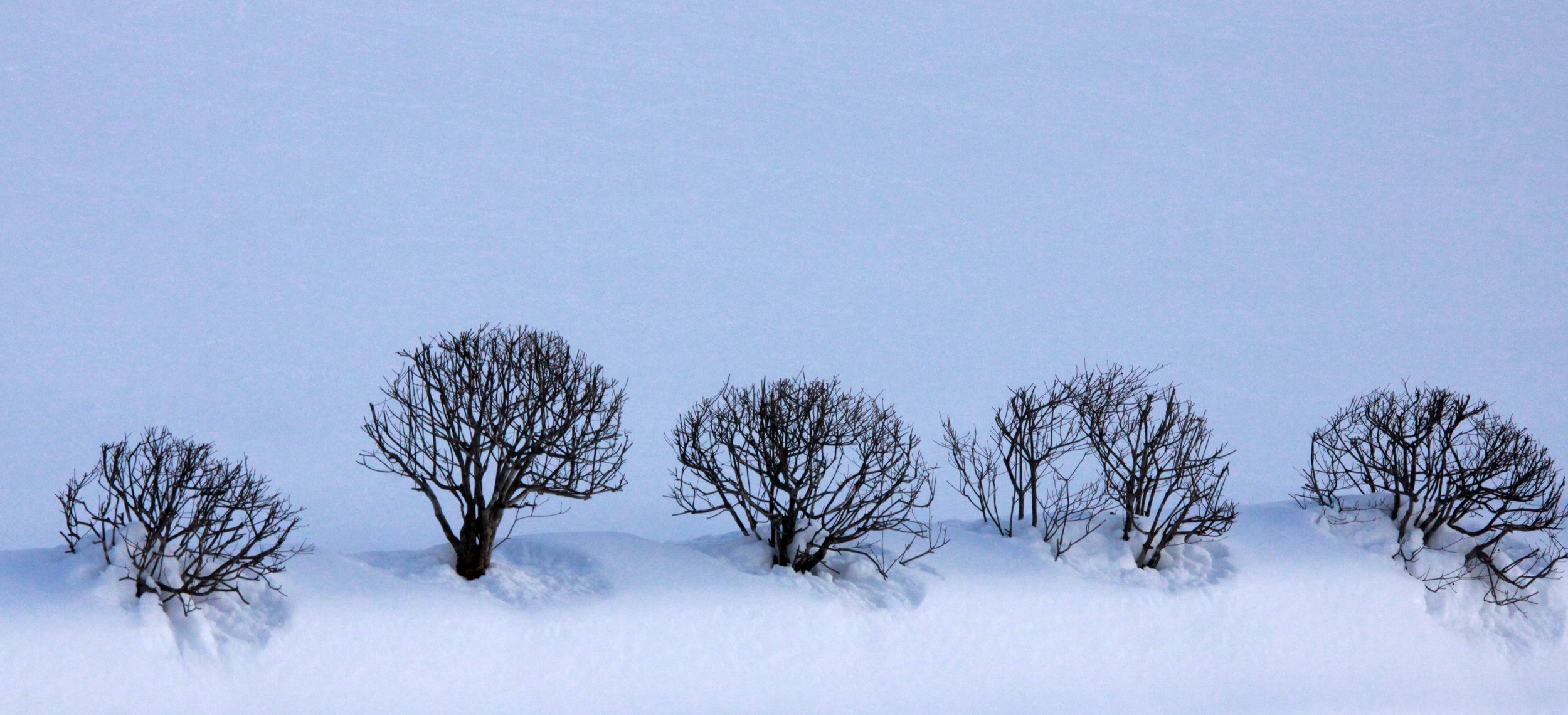 MOUNT ASAMA - JOSHIN'ETSUKOGEN NATIONAL PARK JAPAN (121).JPG