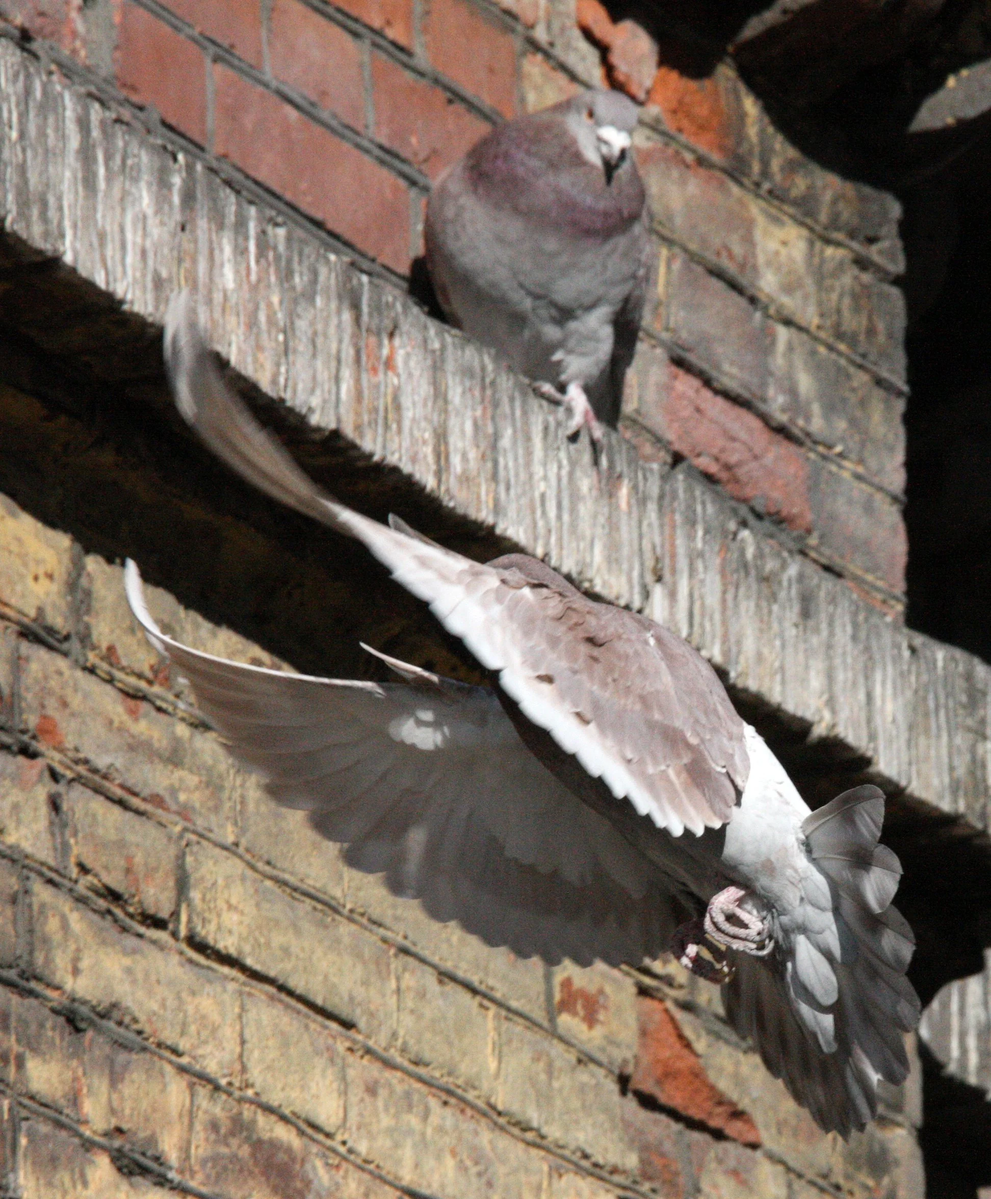 HARBIN CITY SCENES CHINA (19).JPG