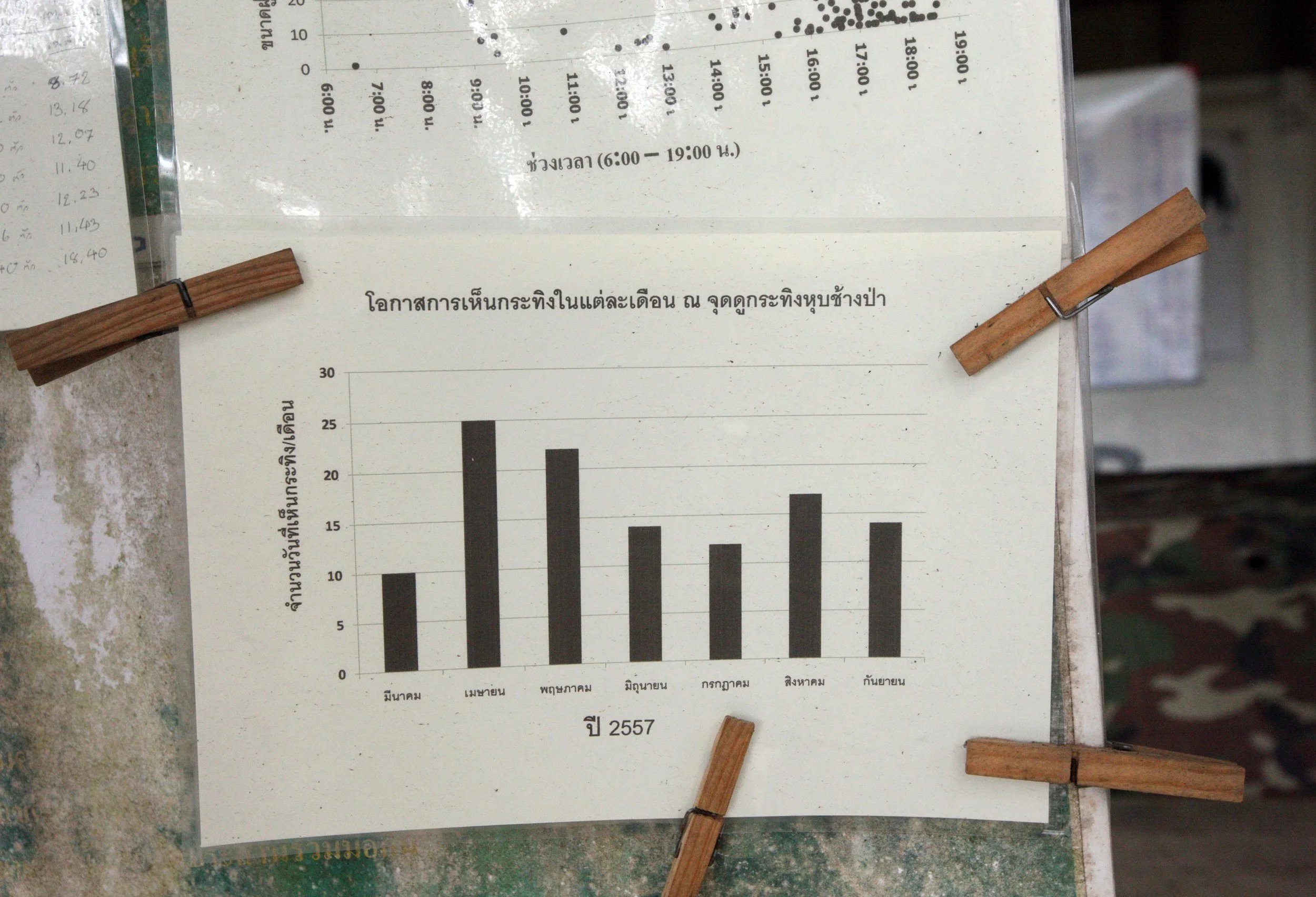 2015 Khao Pang Ma Nonhunting Area (162).JPG