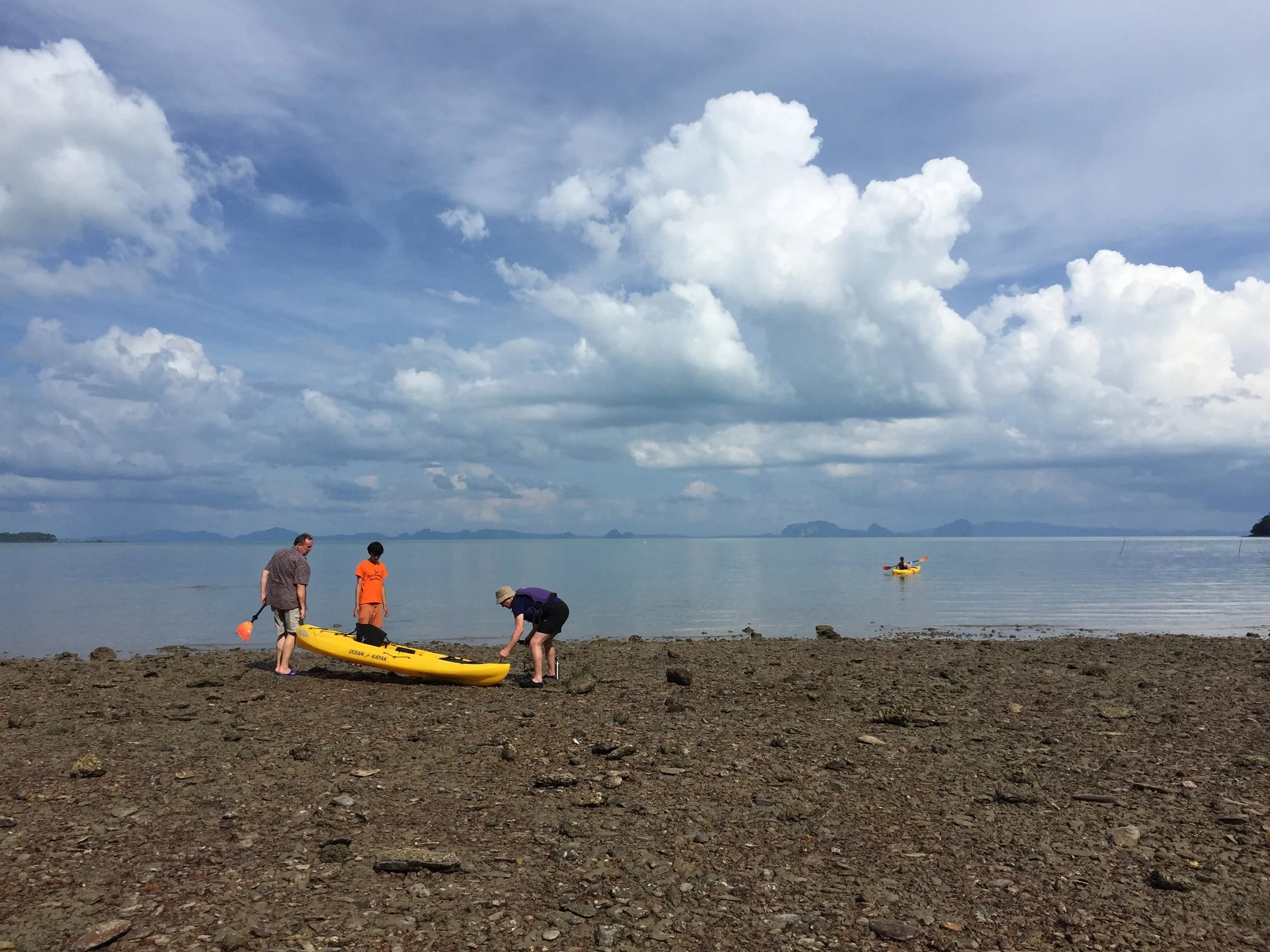 2015 Koh Lanta Garden & Nature (263).jpg