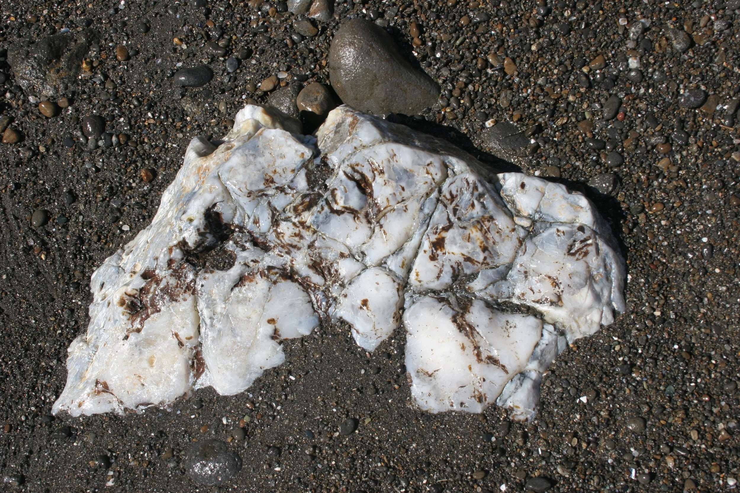 CALIFORNIA - CHANNEL ISLANDS NP - ANACAPA ISLAND - GEOLOGY (6).jpg