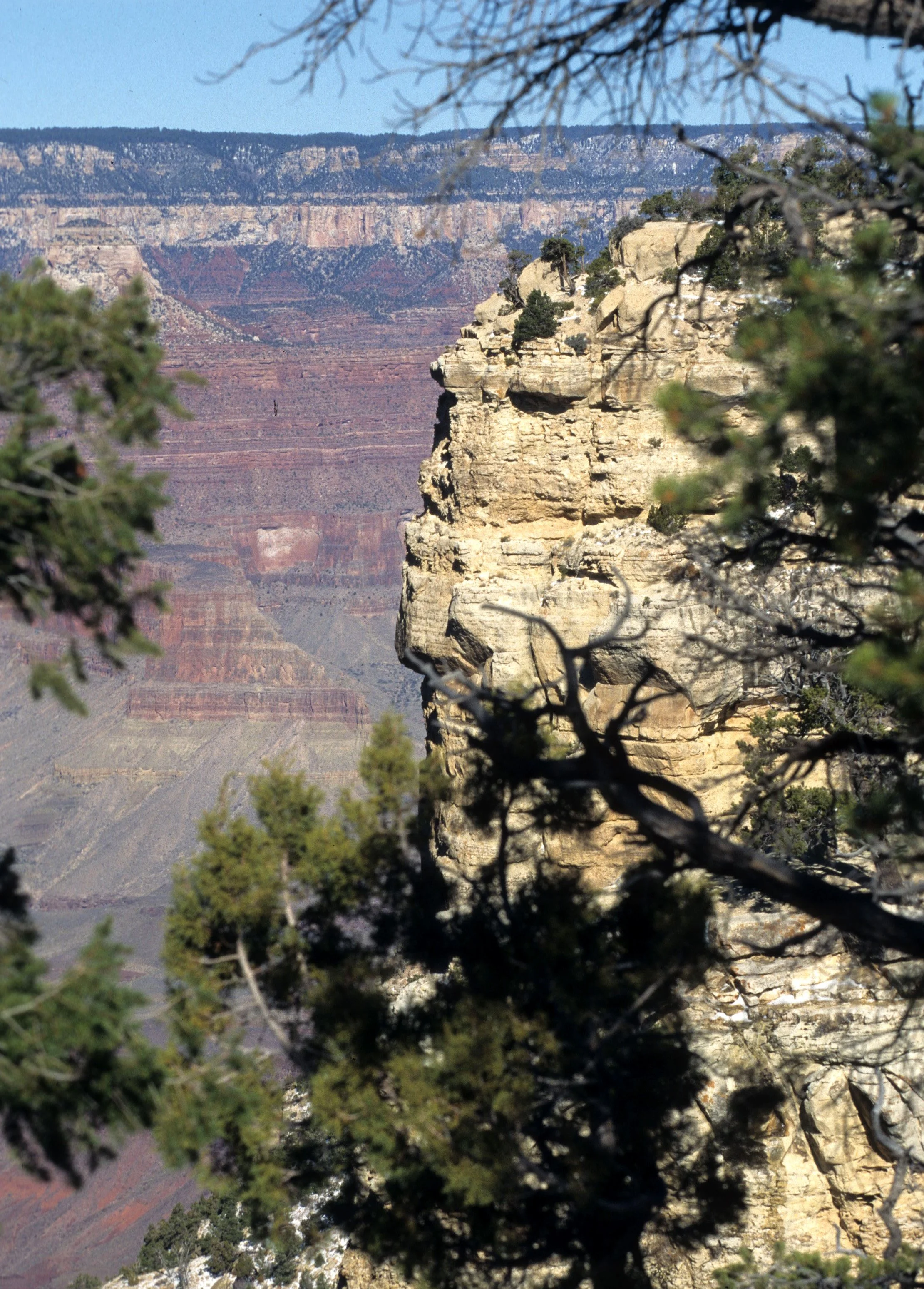 ARIZONA - GRAND CANYON NATIONAL PK (3).jpg