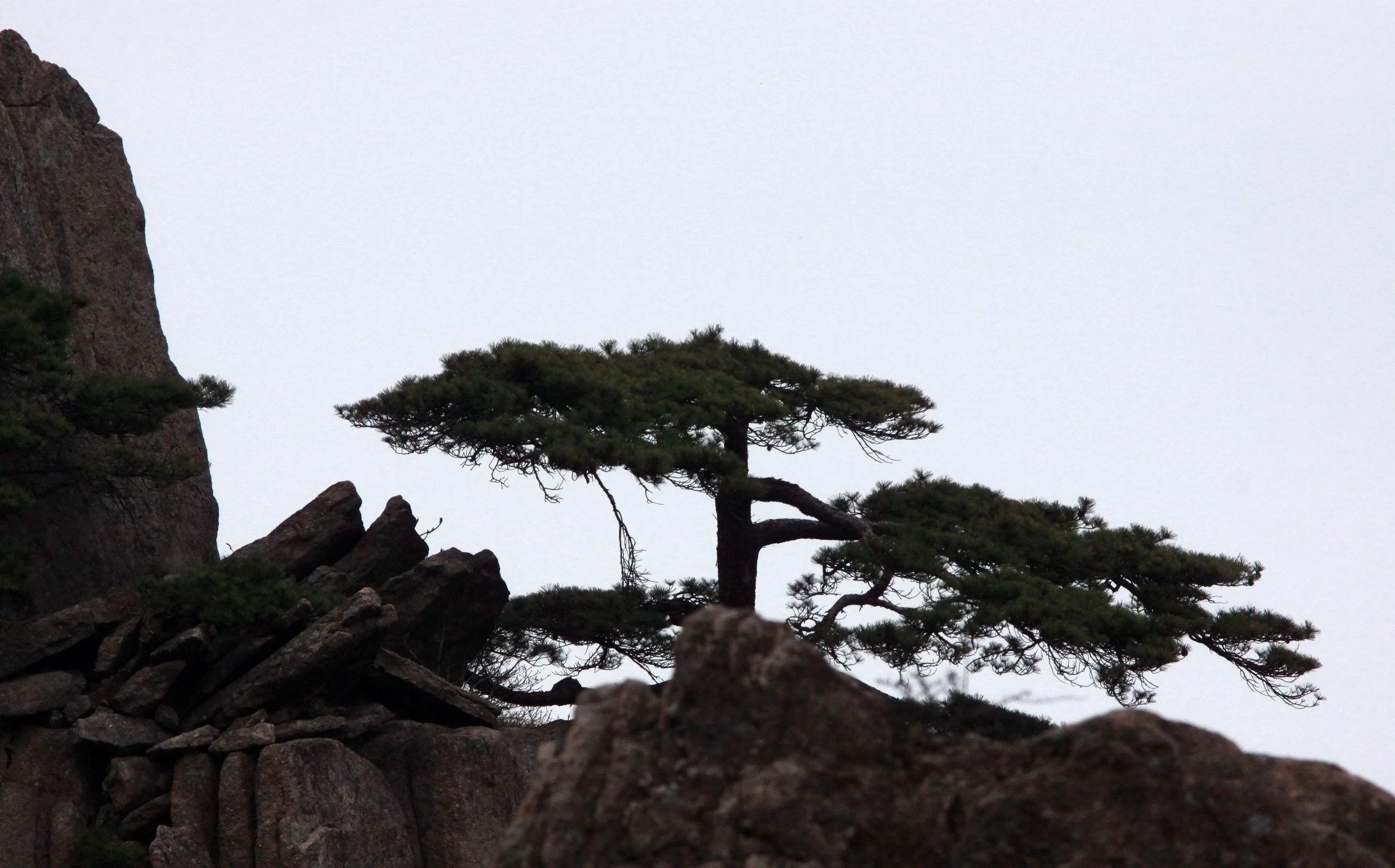 HUANGSHAN NATIONAL PARK - ANHUI PROVINCE CHINA (57).JPG