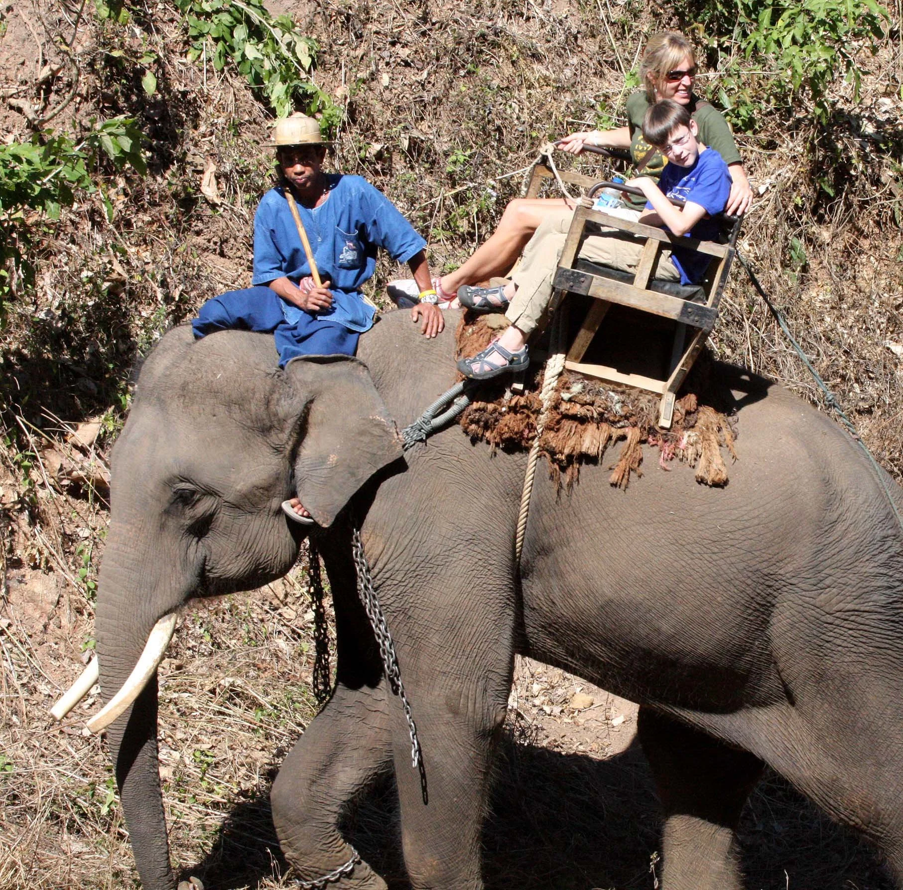 2008 Lampang City & Elephant Center (69).JPG