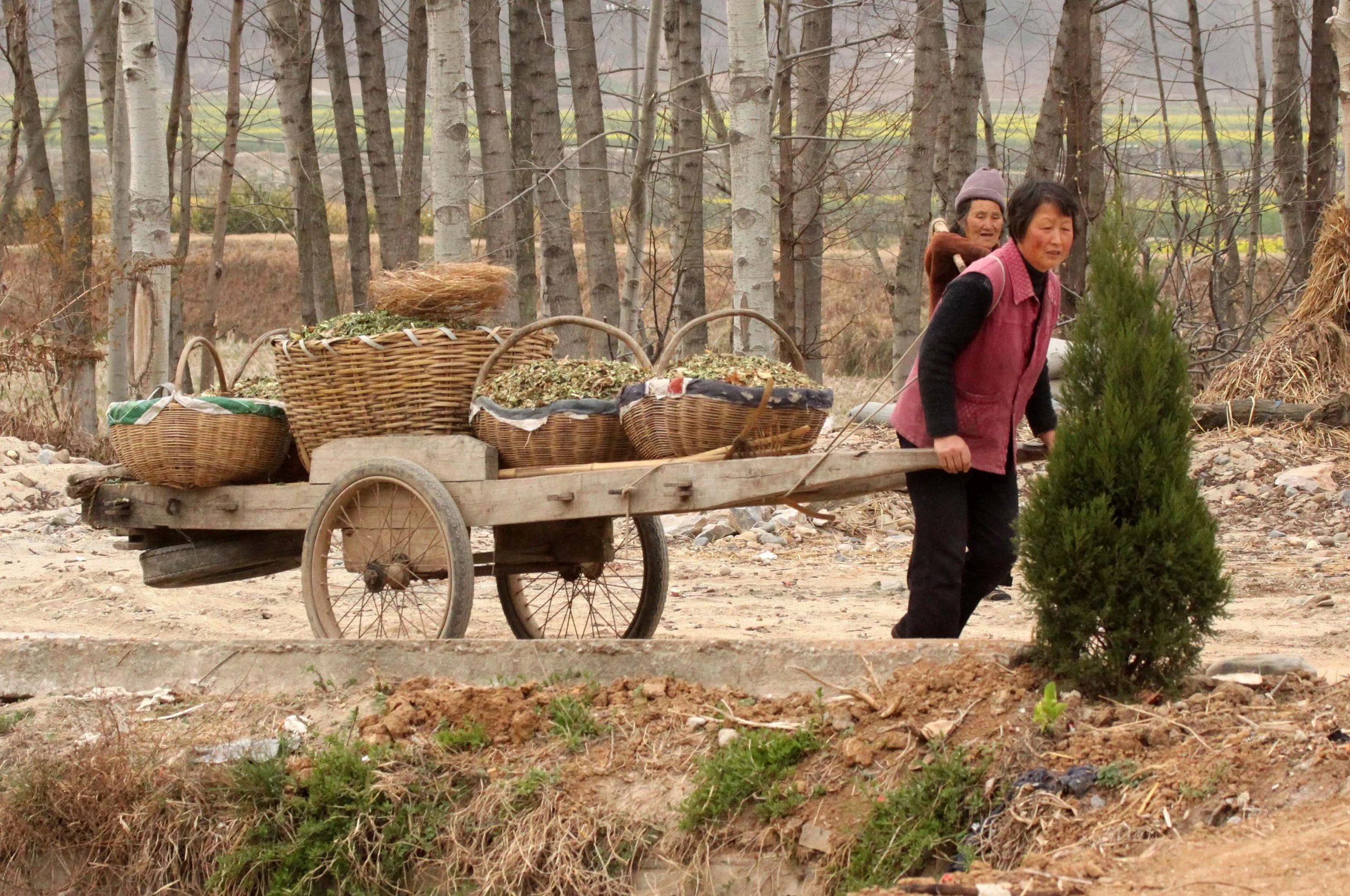 YANG COUNTY CHINA (5).JPG