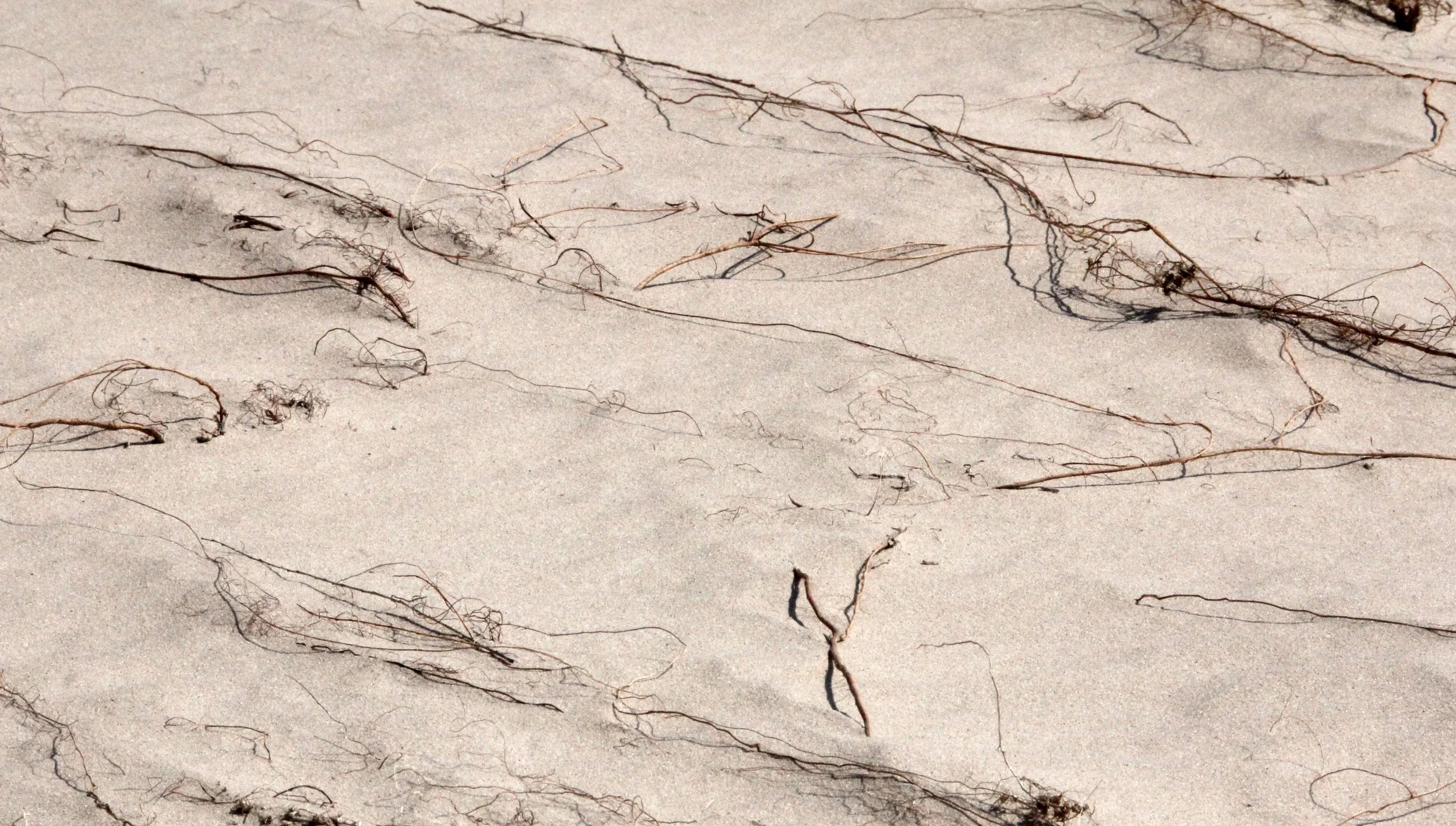 INNER MONGOLIA 2013 (834).JPG