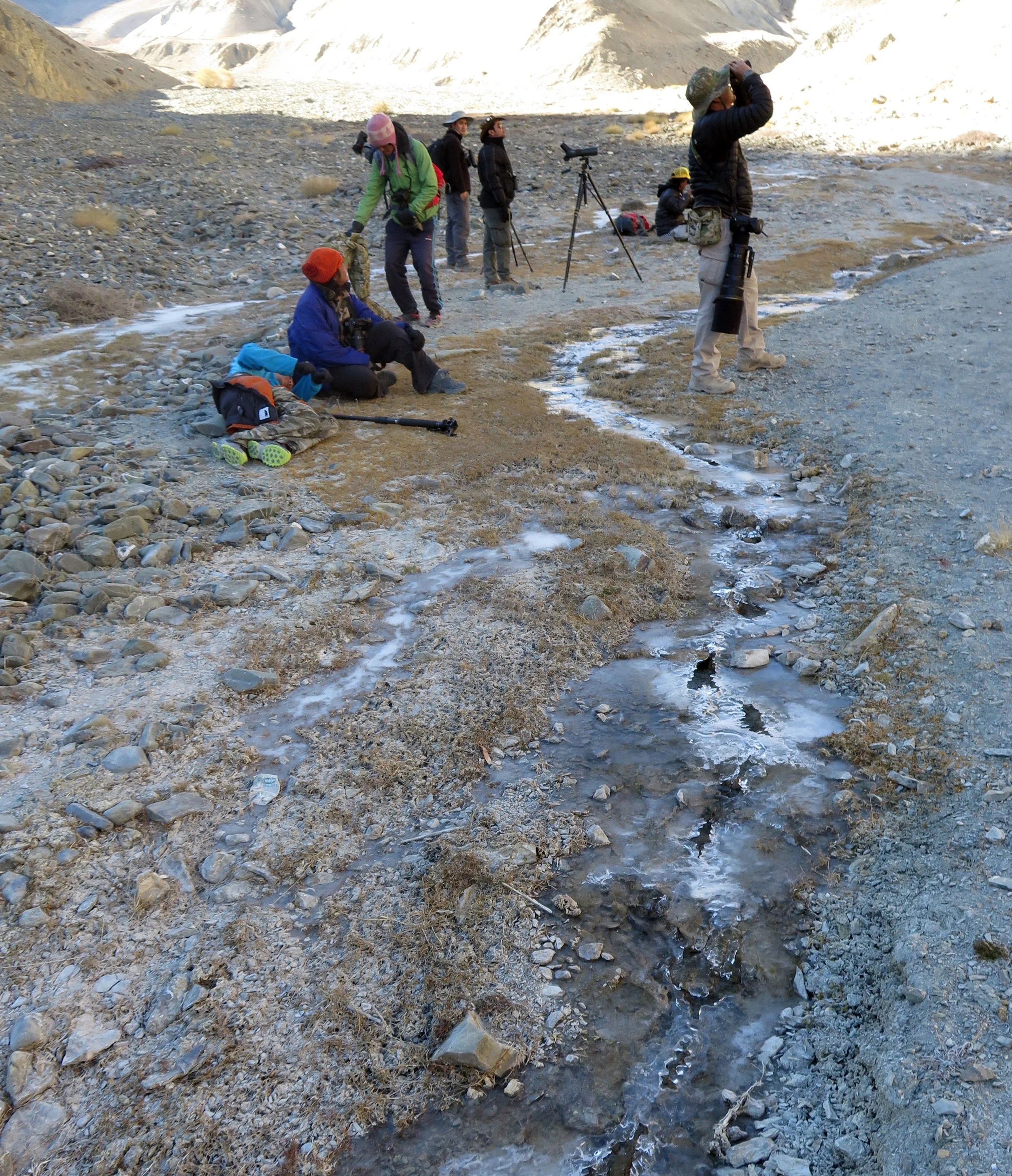 HEMIS NATIONAL PARK - LADAKH INDIA - JAMMU & KASHMIR NEAR RUMBAK VILLAGE (643).JPG