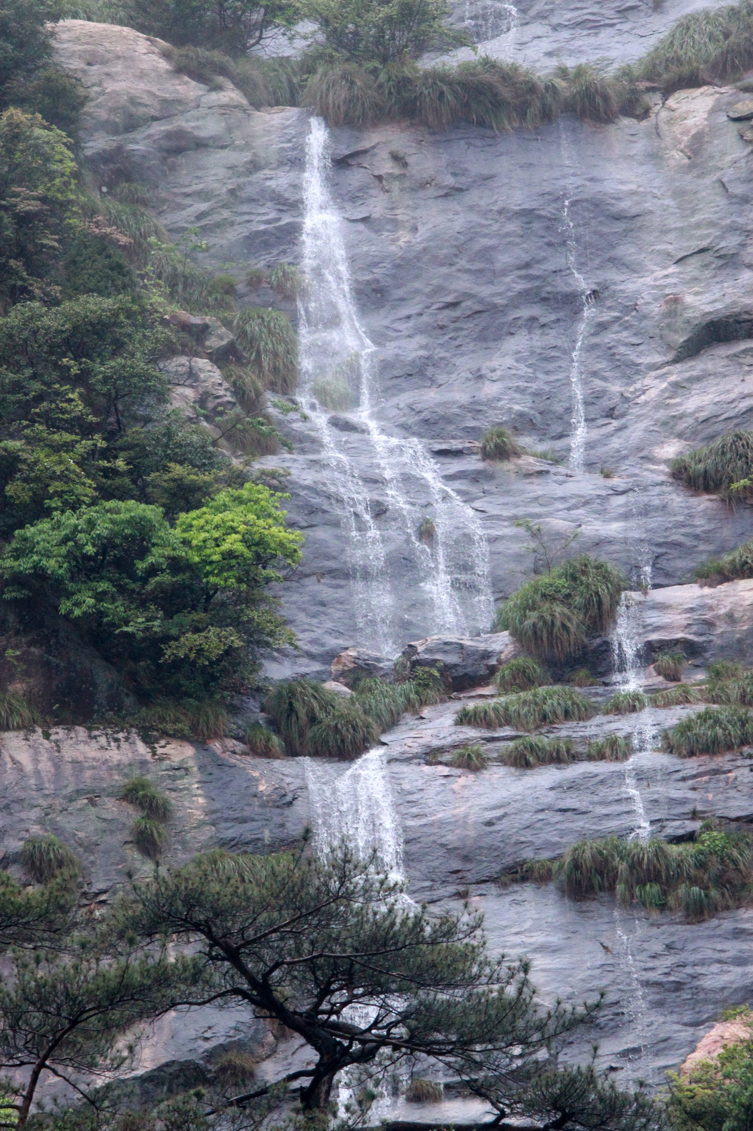 GUNIUJIANG NATURE RESERVE - ANHUI PROVINCE CHINA (88).JPG