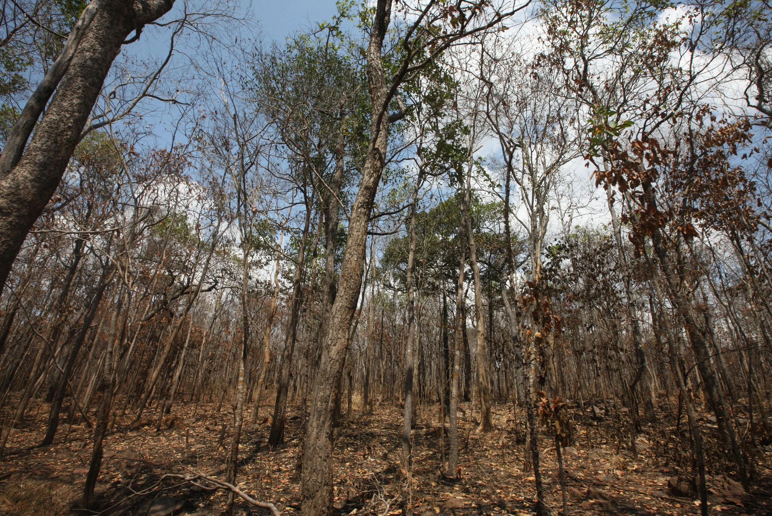 2015 Khao Pang Ma Nonhunting Area (30).JPG