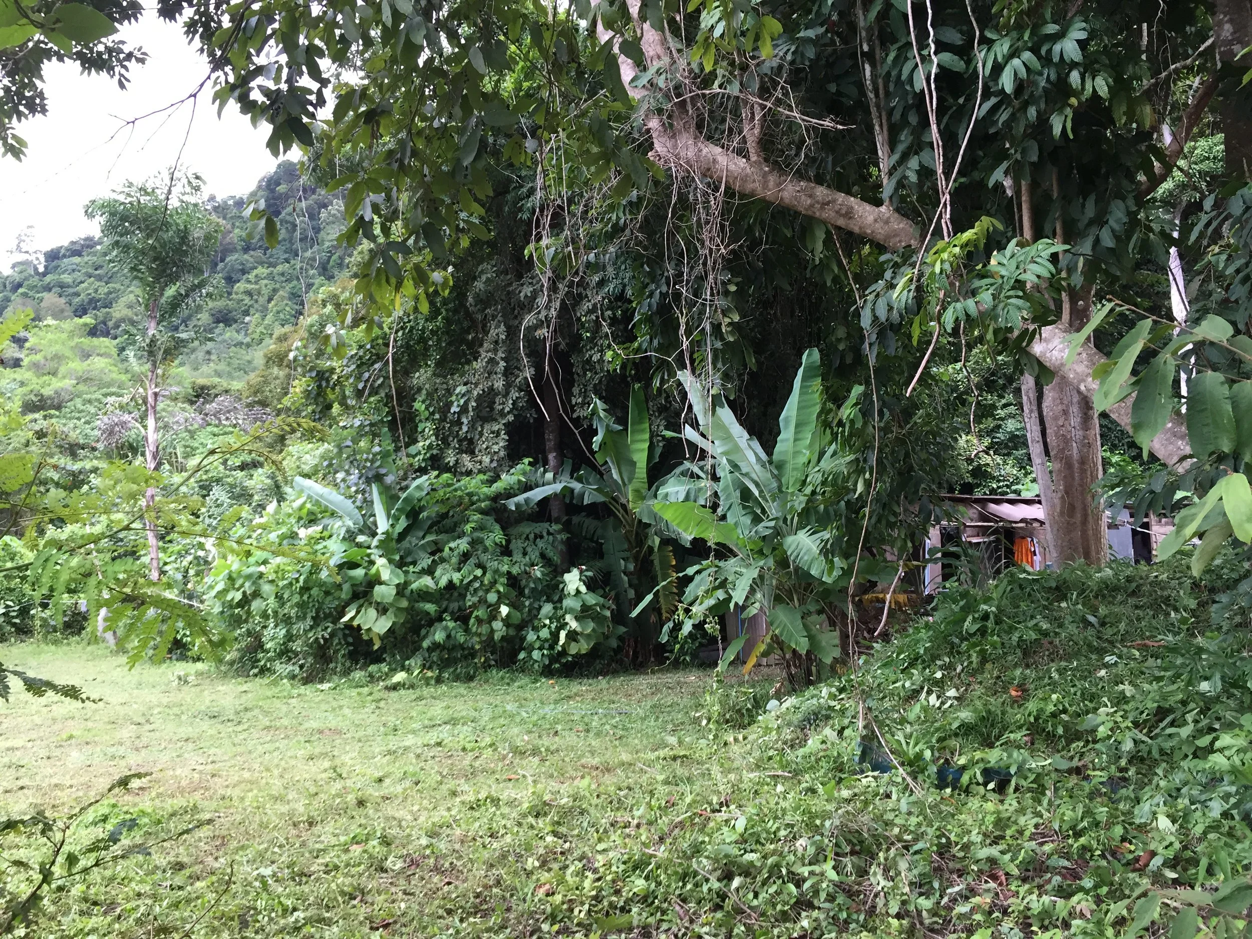 2015 Koh Lanta Garden & Nature (188).JPG