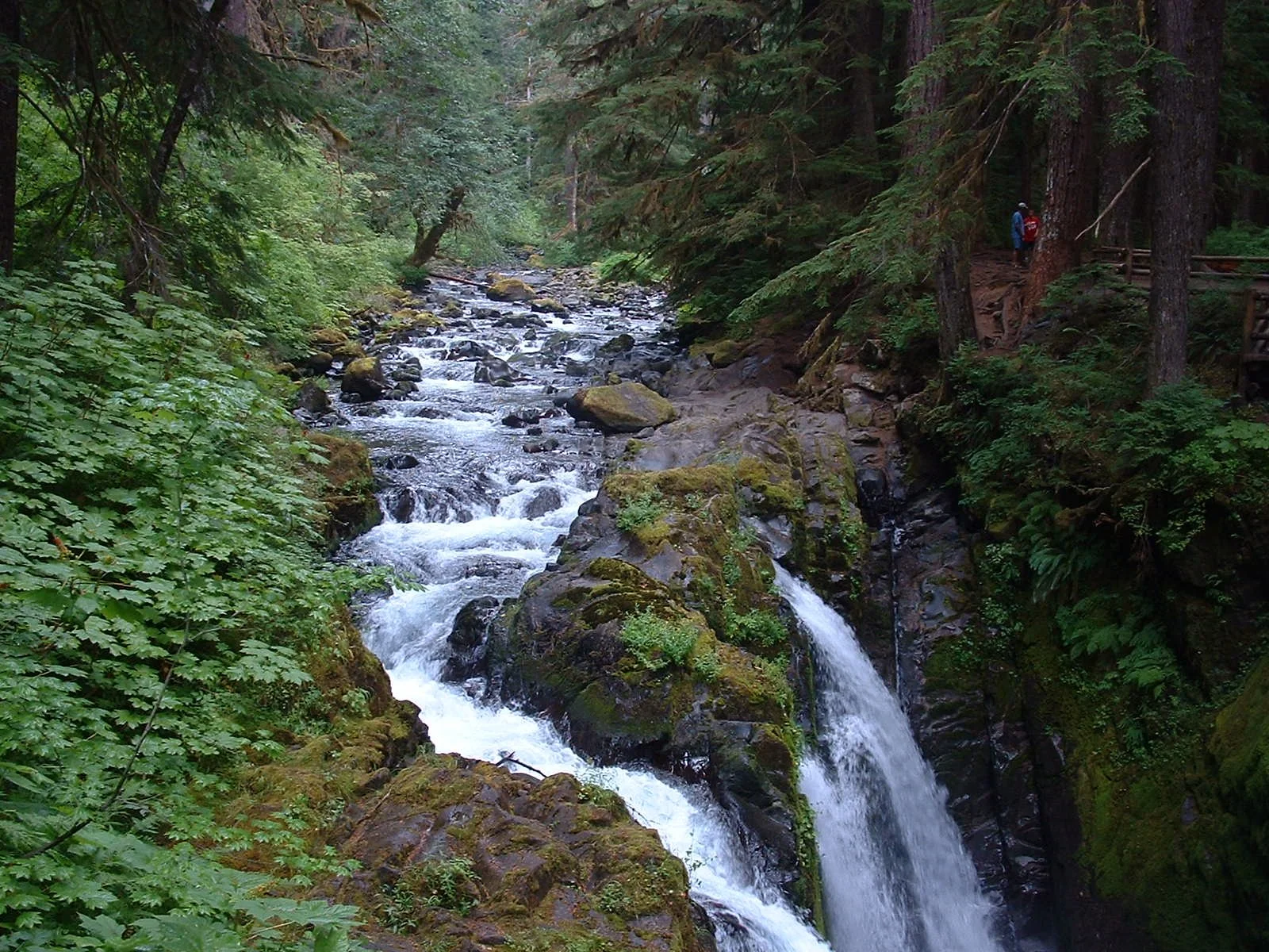 2003-8-1 WASHINGTON VISIT FROM ROBINSONS ET AL (187).JPG